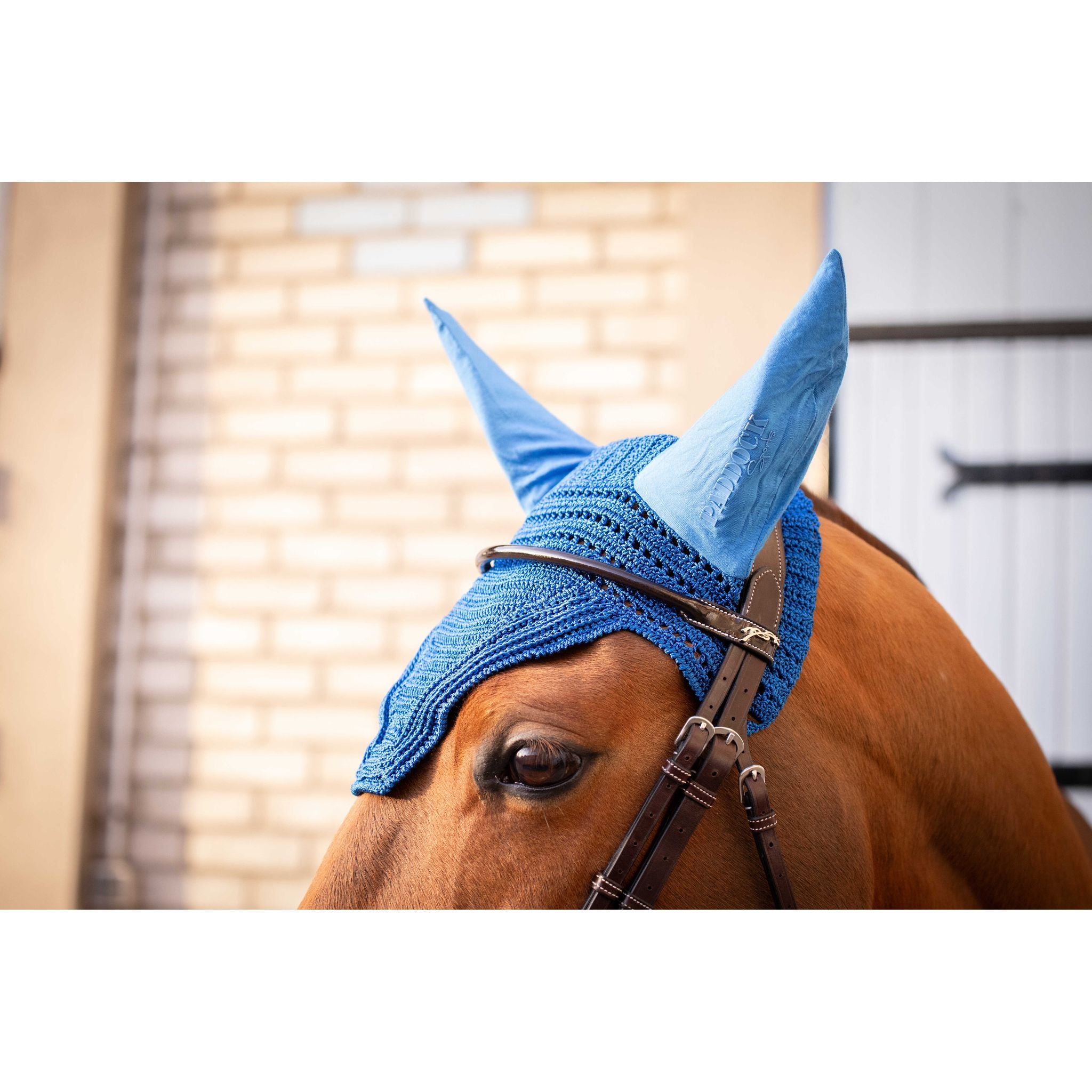 Paddock Sports Prem's Fly Veil Royal blue - 306969206_ambi_5