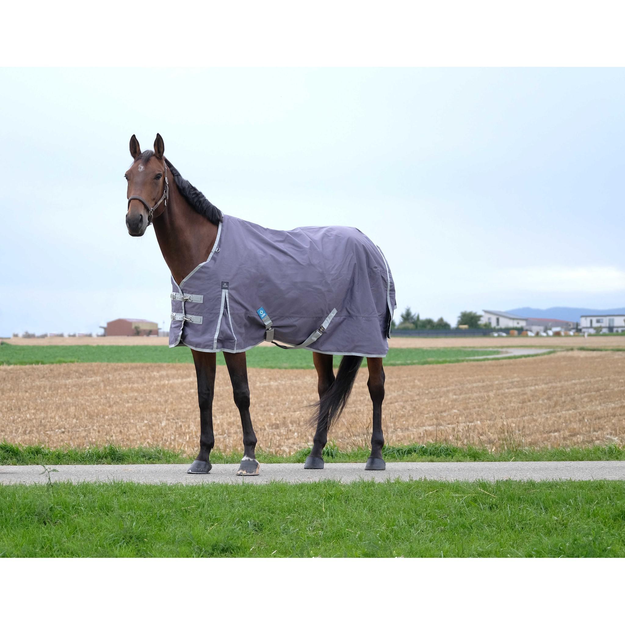 EQUITHÈME Tyrex 1200D Recycled turnout Rug - Standard Taupe 400757063