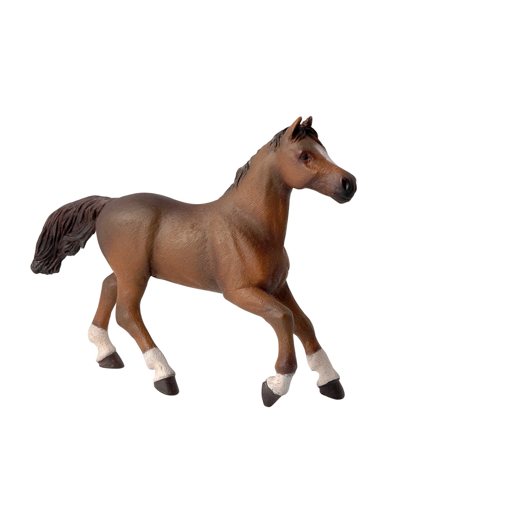 PAPO Anglo-Arab Mare - 905051075_packshot_1