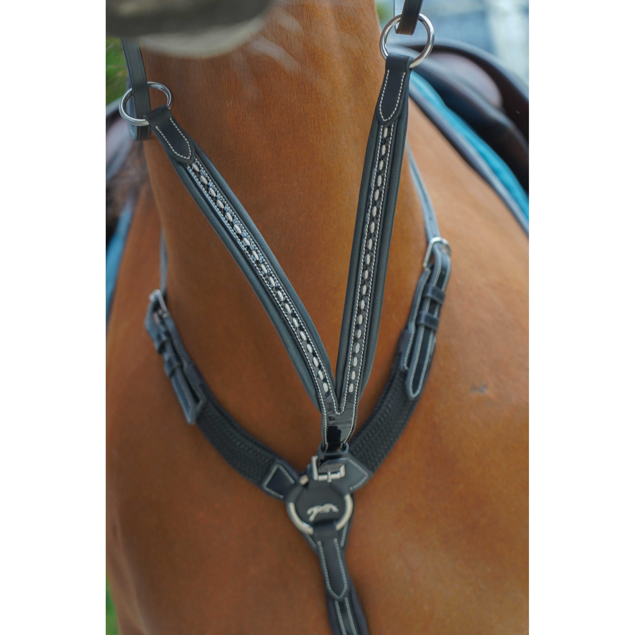 Pénélope Point Sellier Martingale Attachment Black 306153002