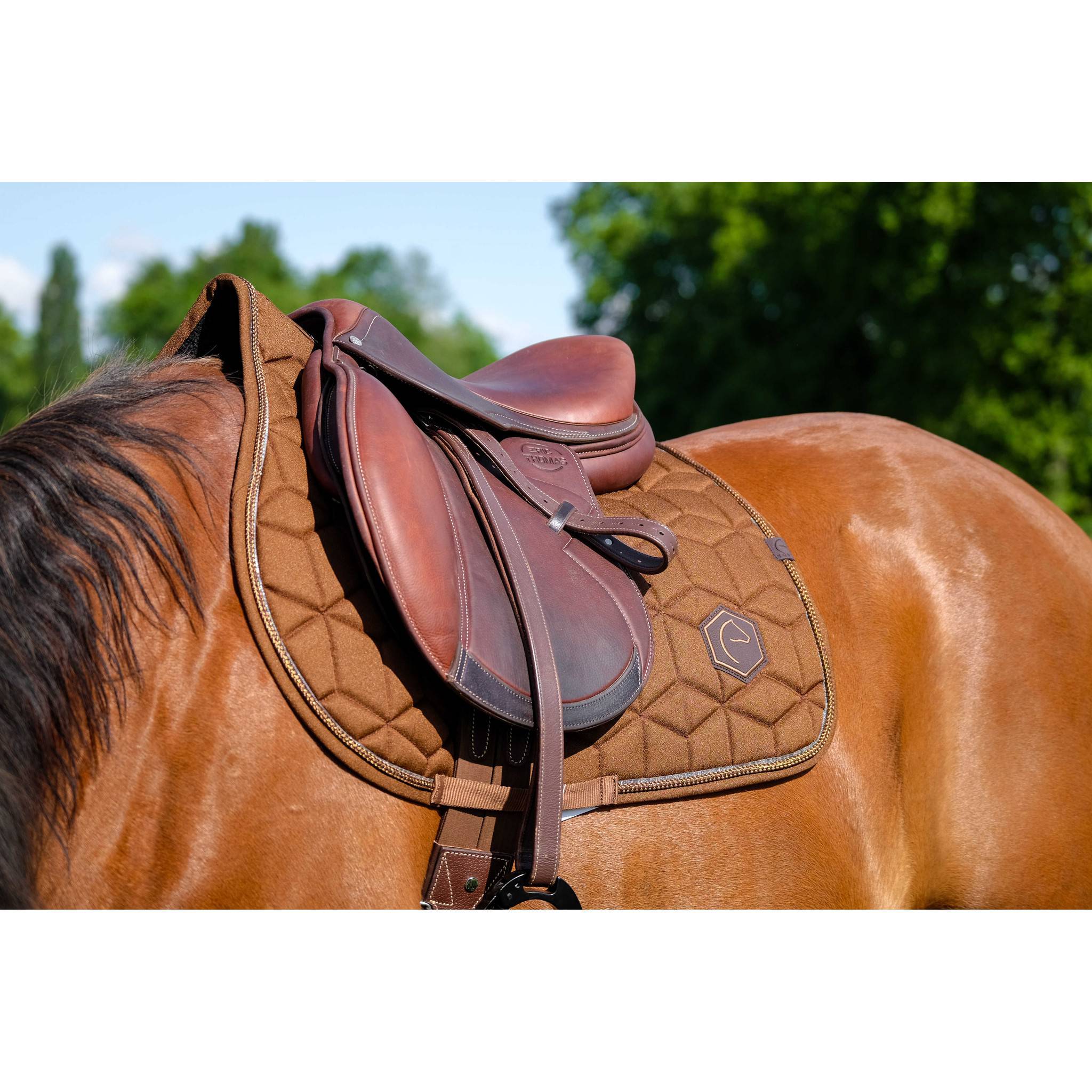 EQUITHÈME Hexalight saddle pad - All purpose chestnut brown 204004004