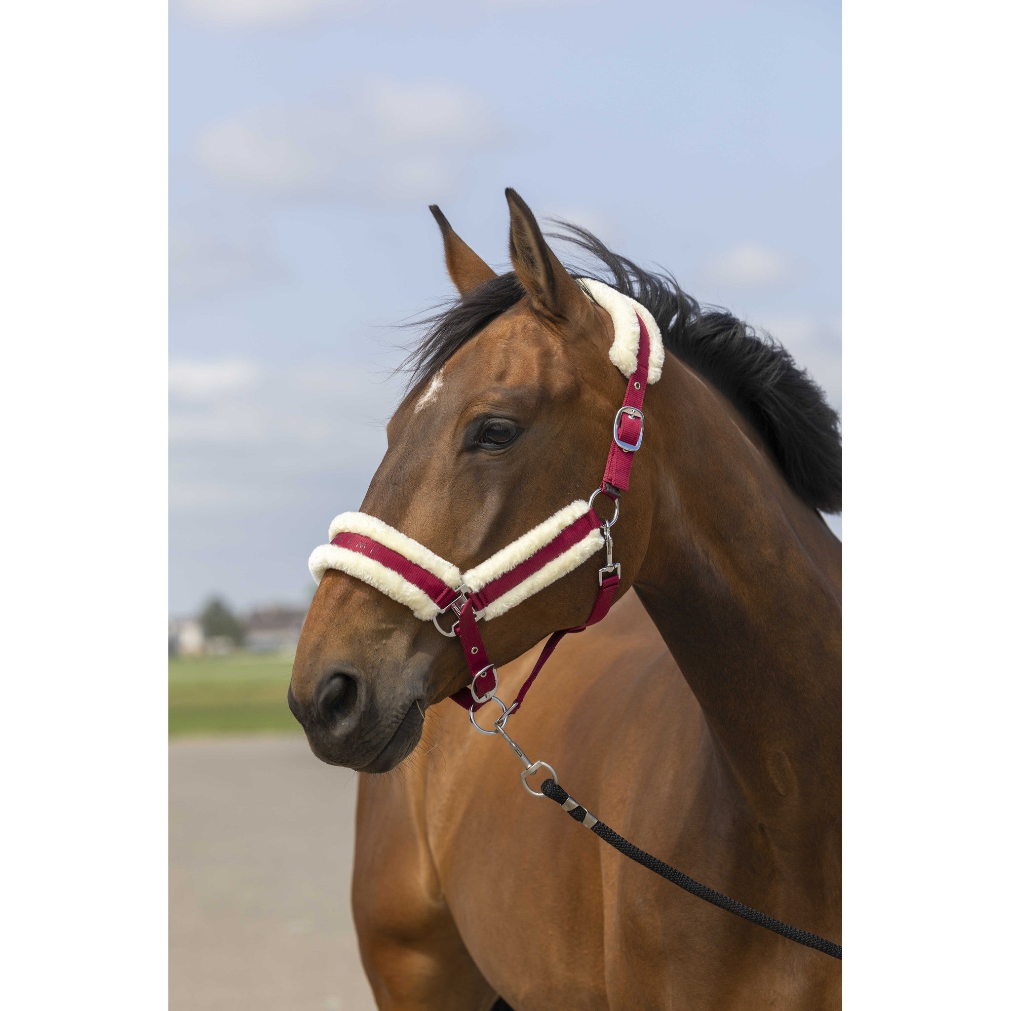 EQUITHÈME Mouton Halter Burgundy/white 510253333