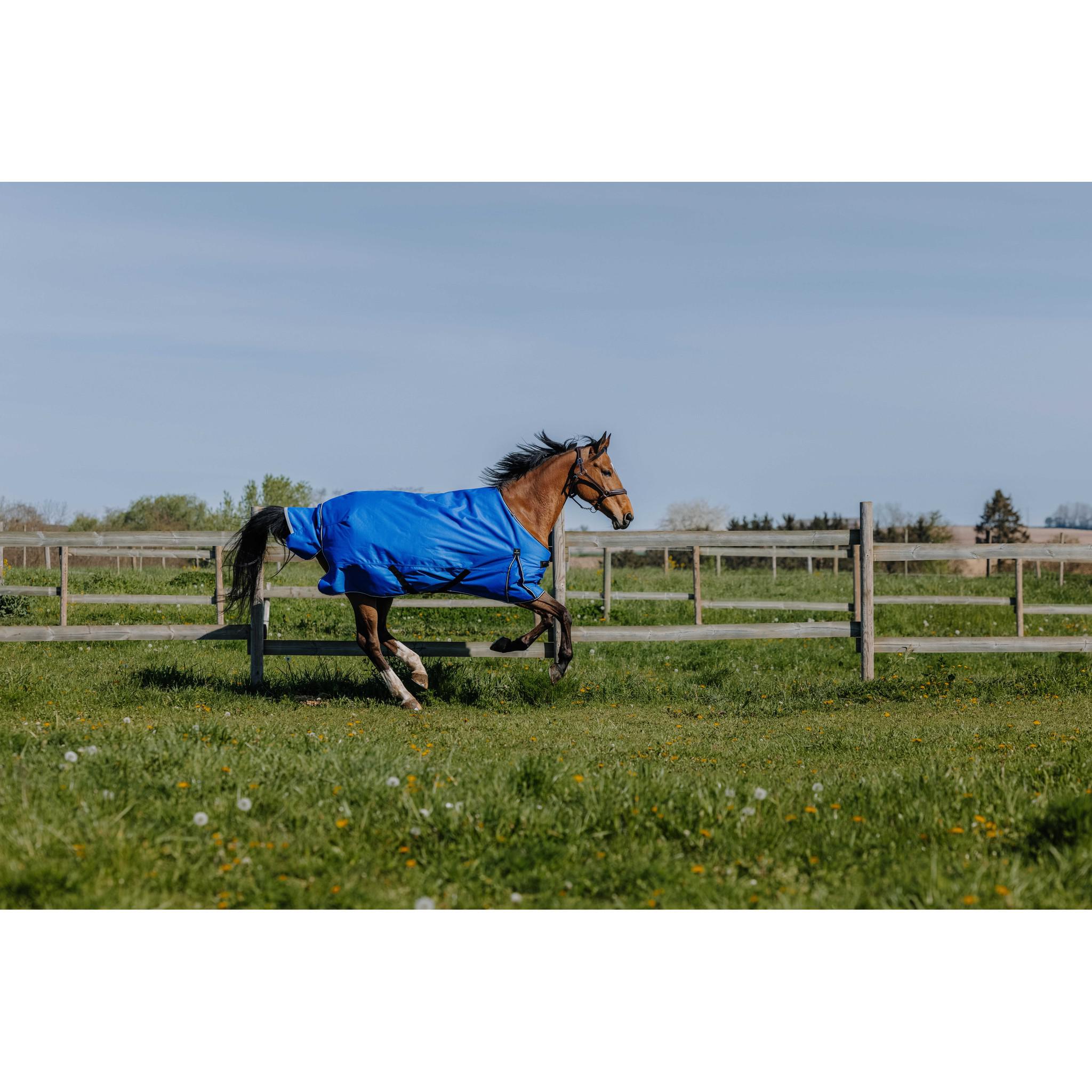 EQUITHÈME Tyrex 1200D Aisance sheet - Standard Royal blue 400939463