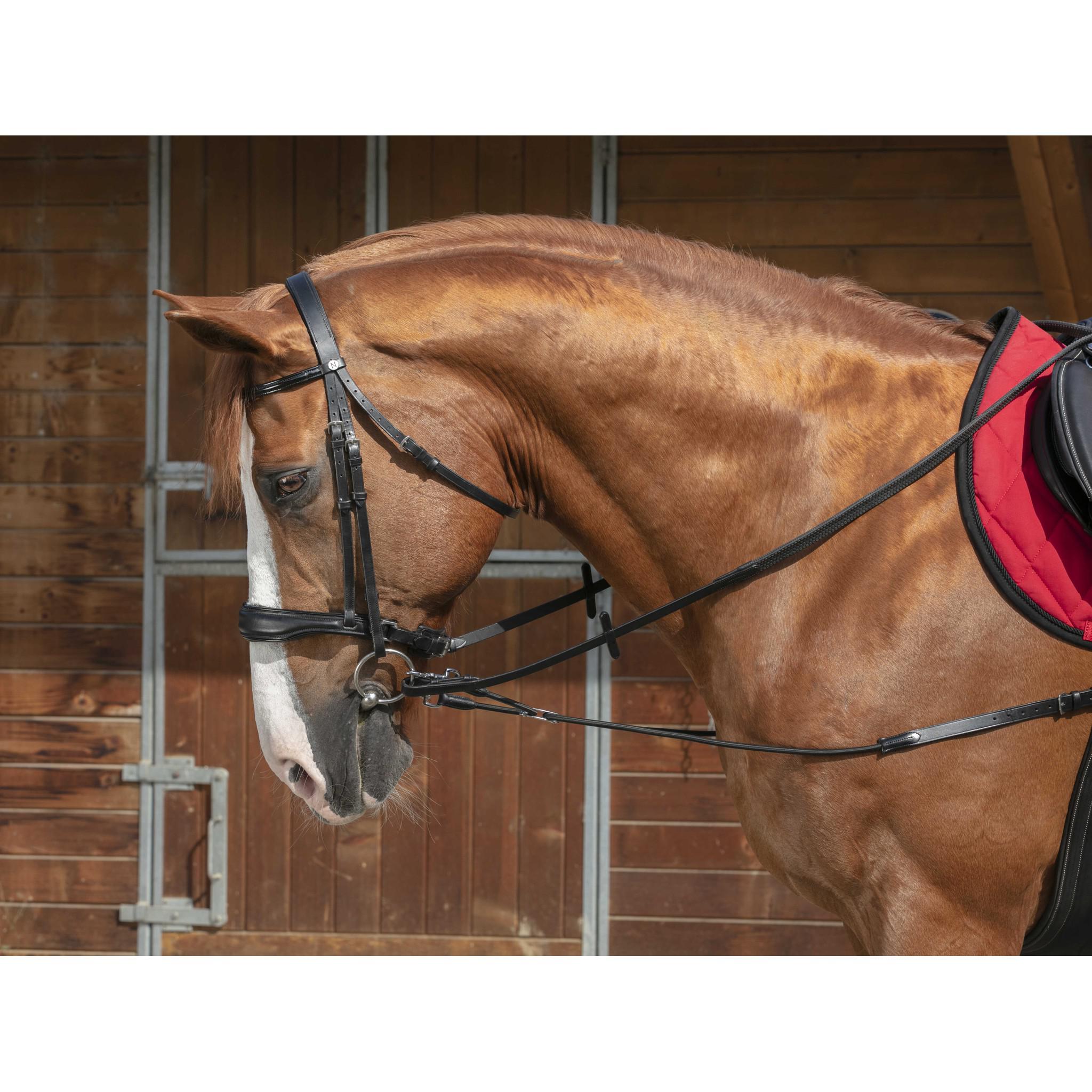 Norton Pro Short Elastic Side Reins with Pulleys Black 306394002