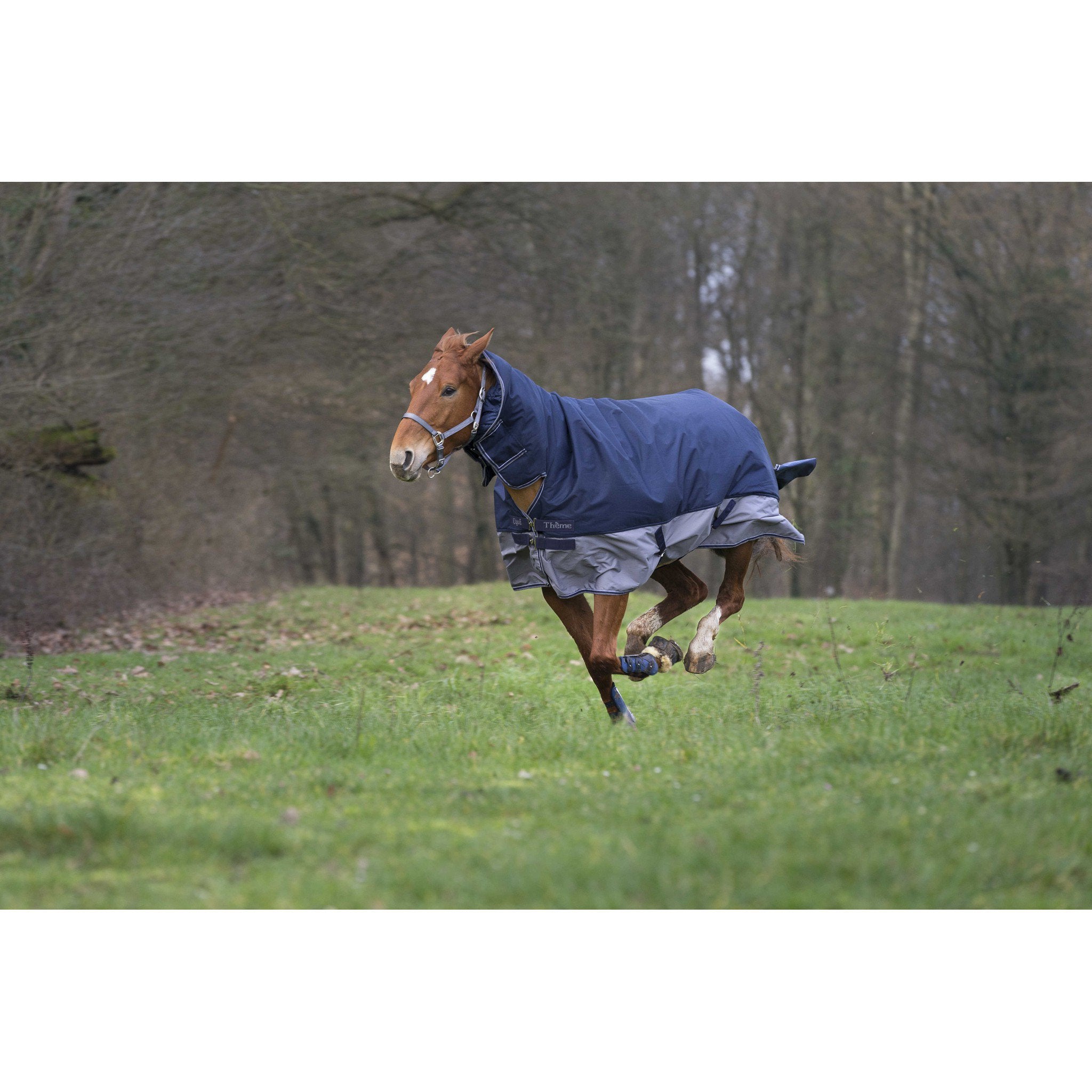 EQUITHÈME Tyrex 600D turnout rug - Combo Navy blue/grey 400920763