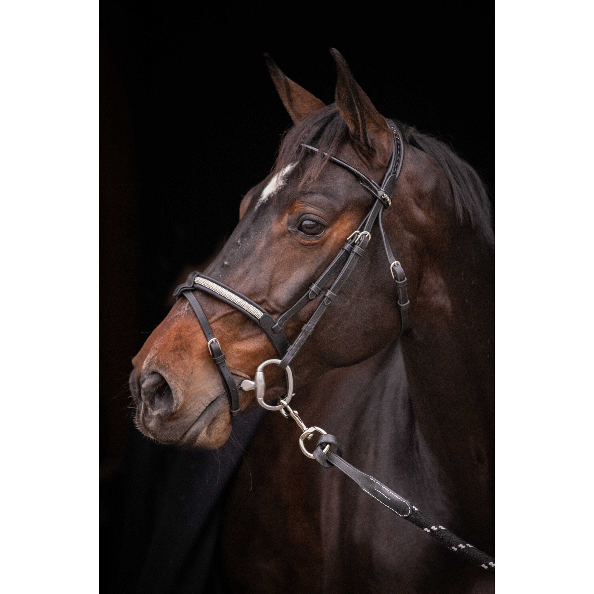 Pénélope Symphonie Bridle Black 301612302