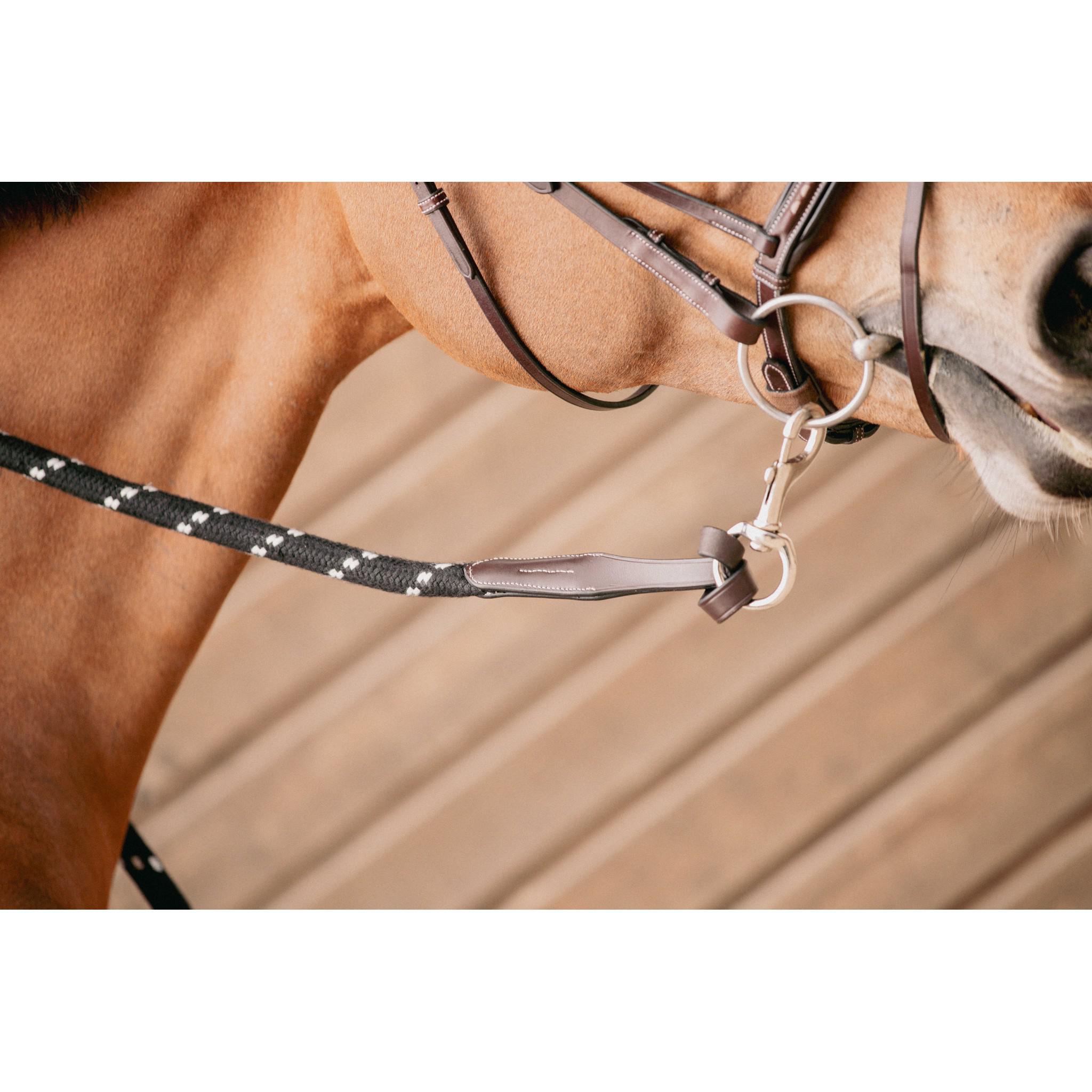 Pénélope ethologic lead rope Black/caramel 520800002