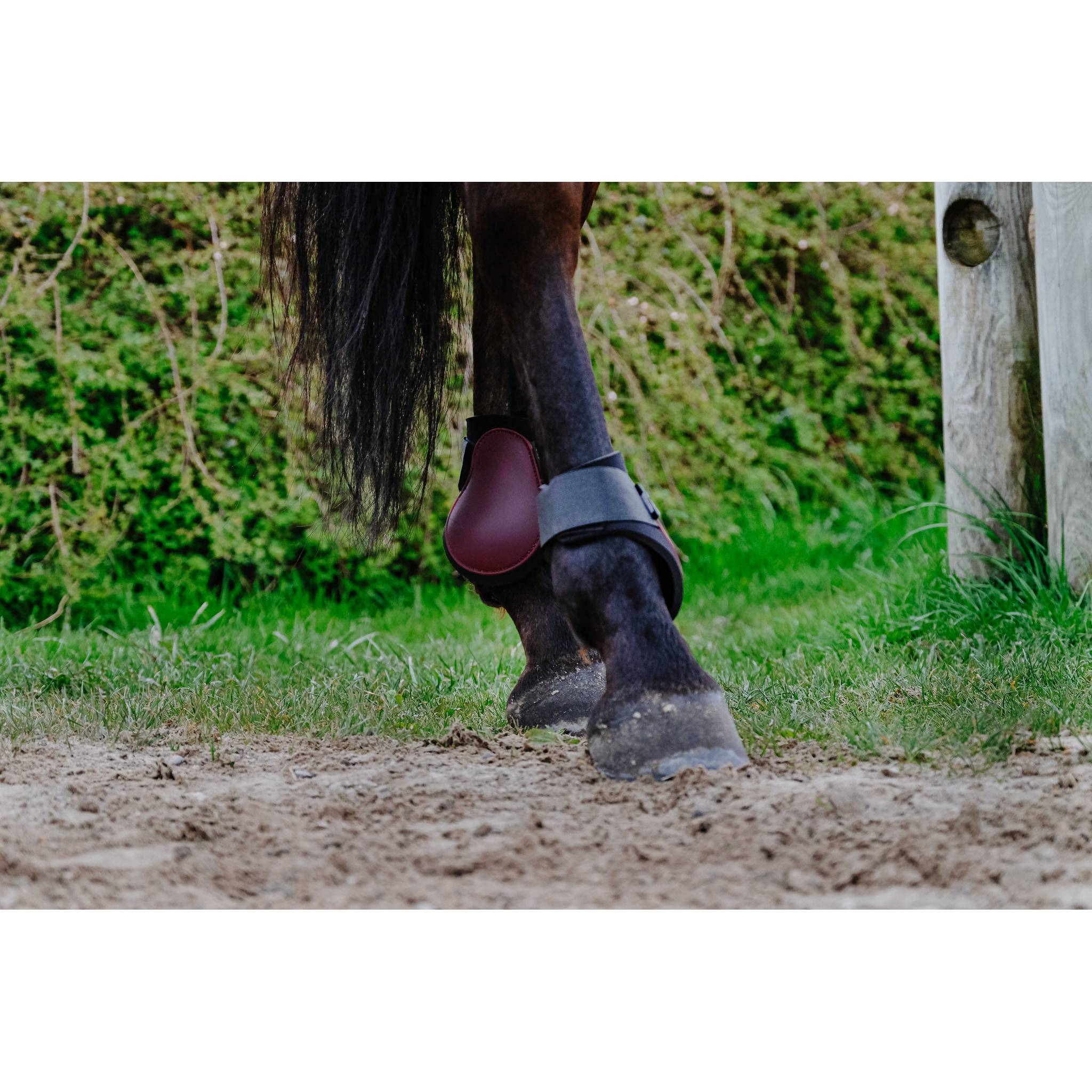 Riding World Fetlock boots Burgundy 530122033