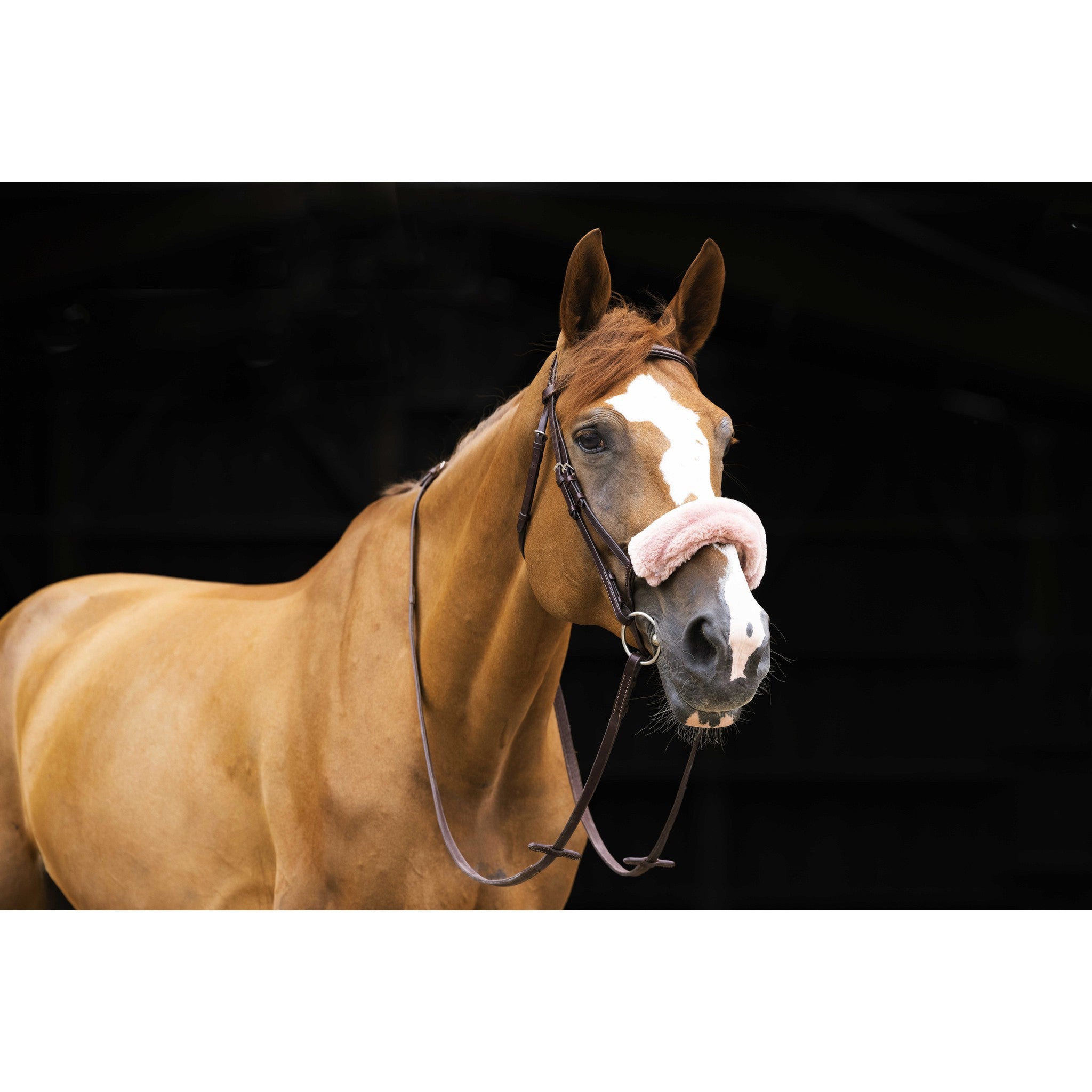 EQUITHÈME Teddy noseband sleeve Golden pink 207501313