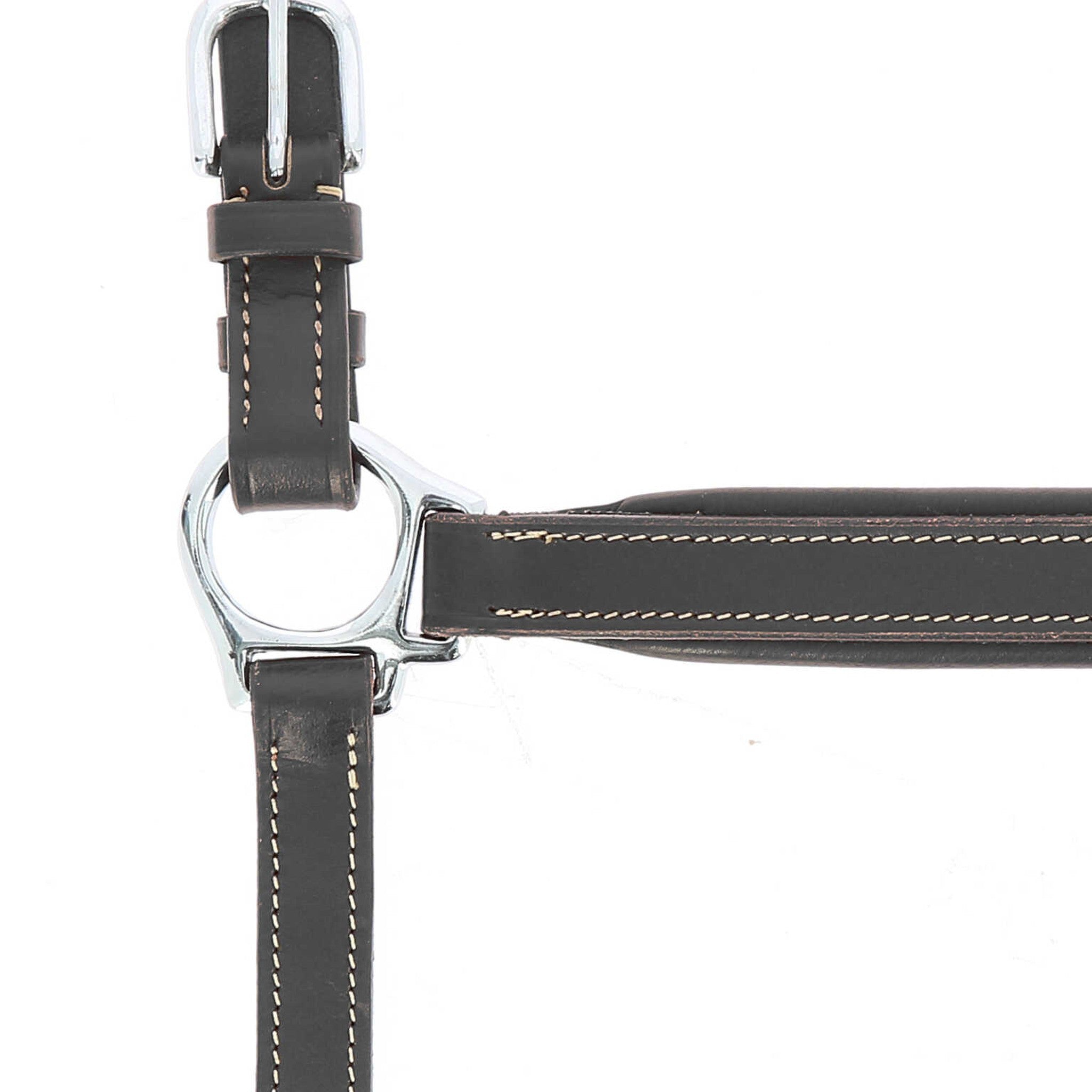 Norton Pro Grooming Leather halter Black 510306302