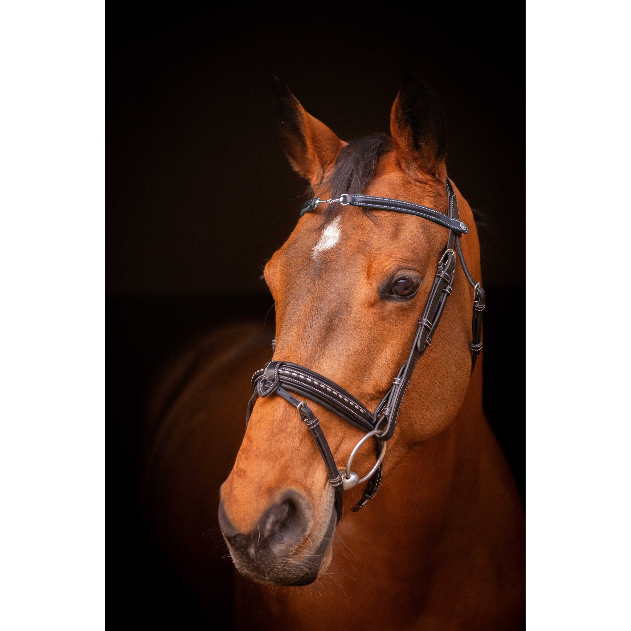PENELOPE "Opale" Browband Black - 304403302_ambi_1