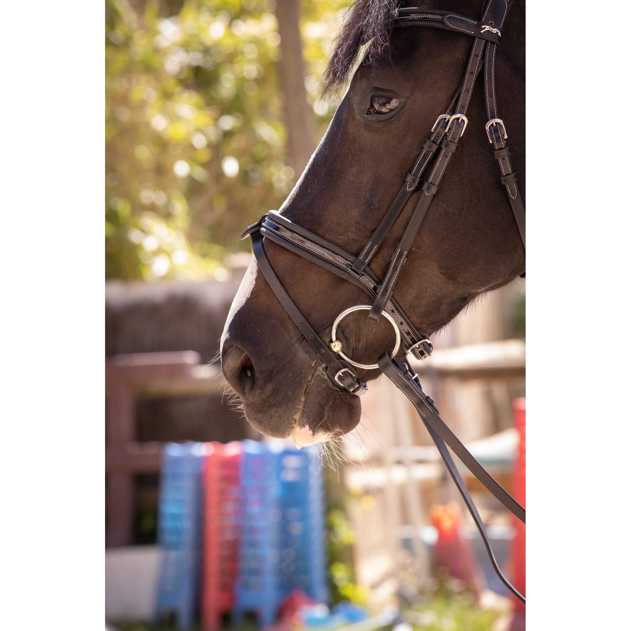Penelope Smoothie Pearl Bridle Black - 301604302_ambi_3