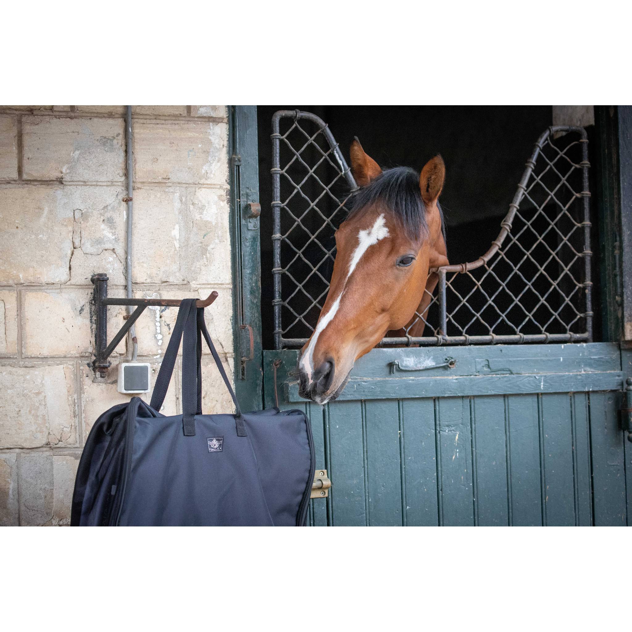 Paddock Sports Saddle Pads bag Black 935042002