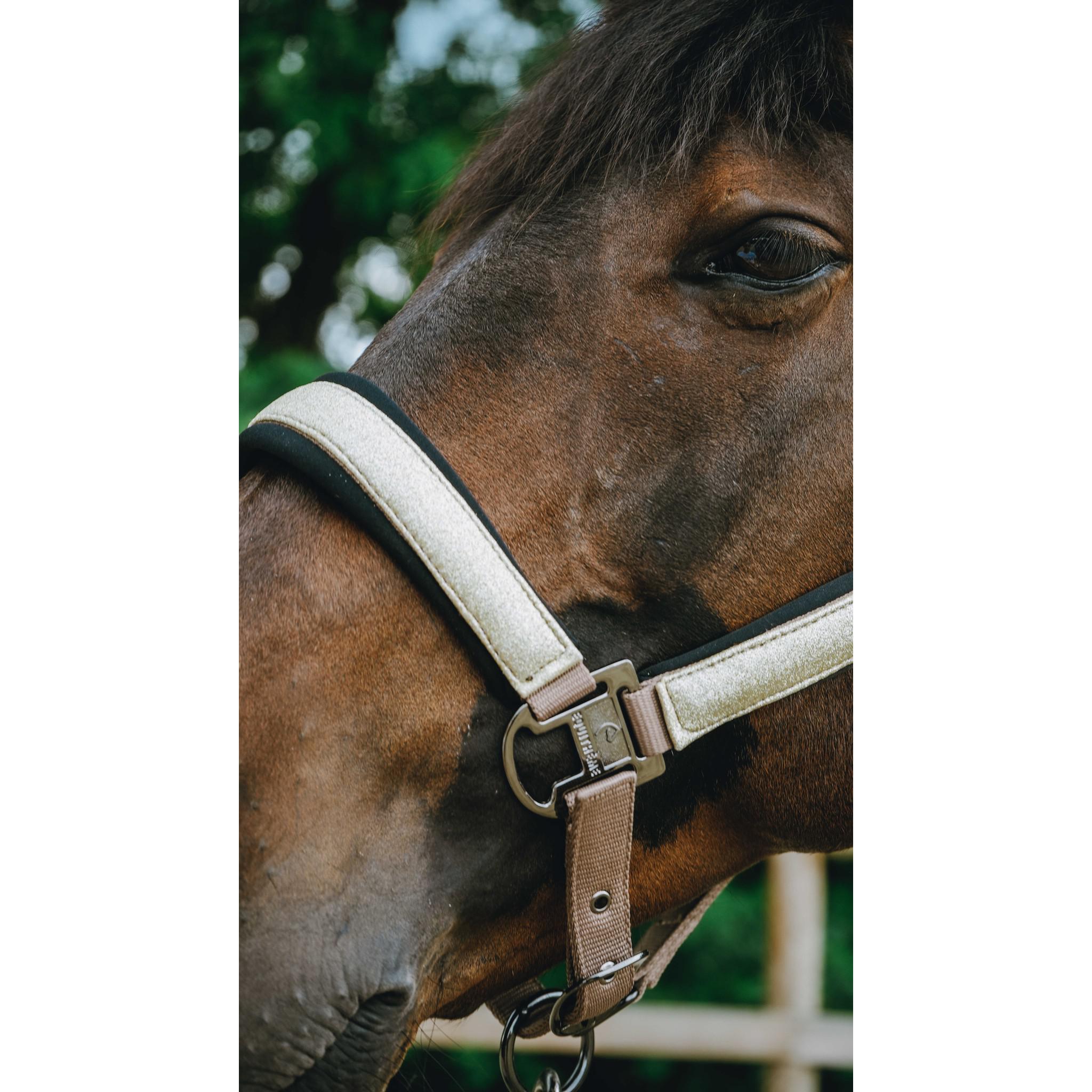 EQUITHÈME Halter - Glowy Beige/golden 510273351