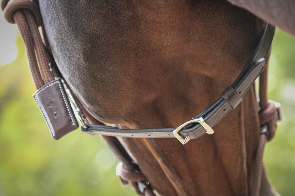 Pénélope Rope halter Havana