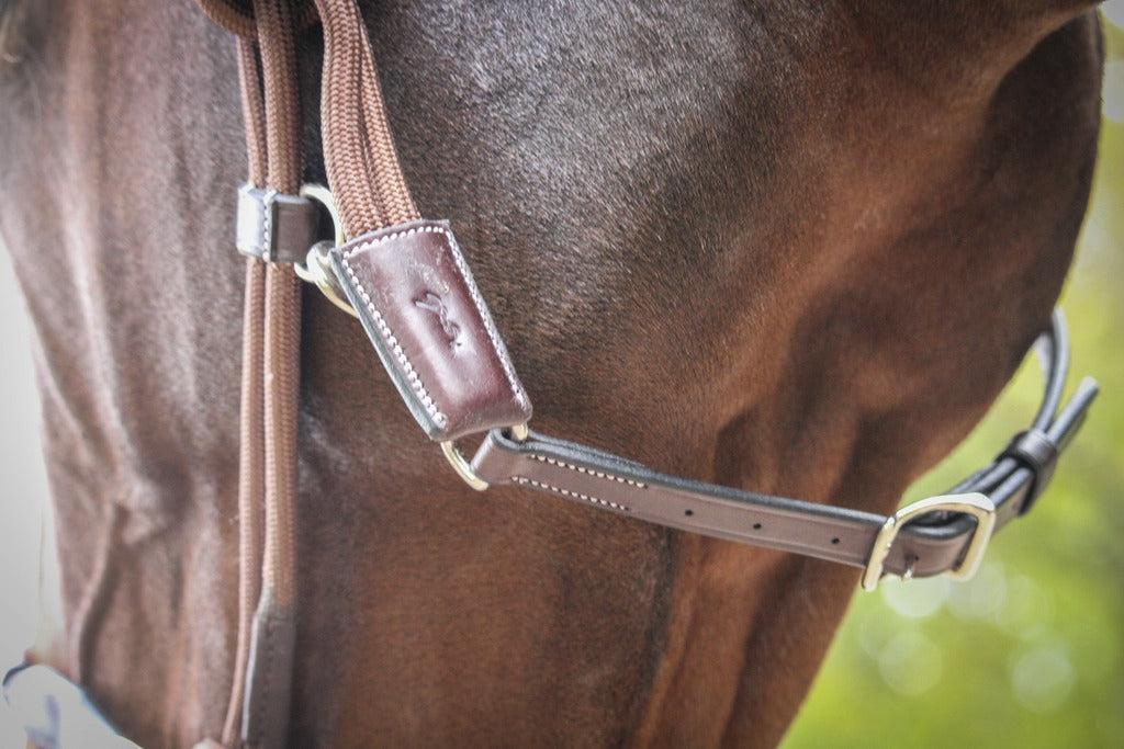 Pénélope Rope halter Havana