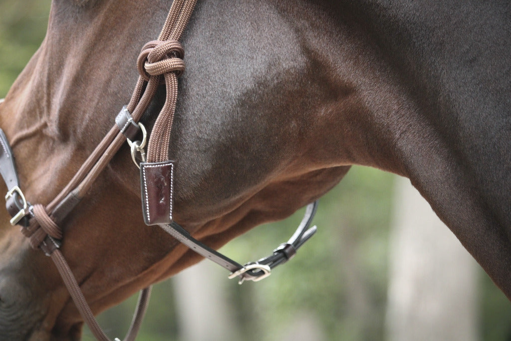 Pénélope Rope halter Havana