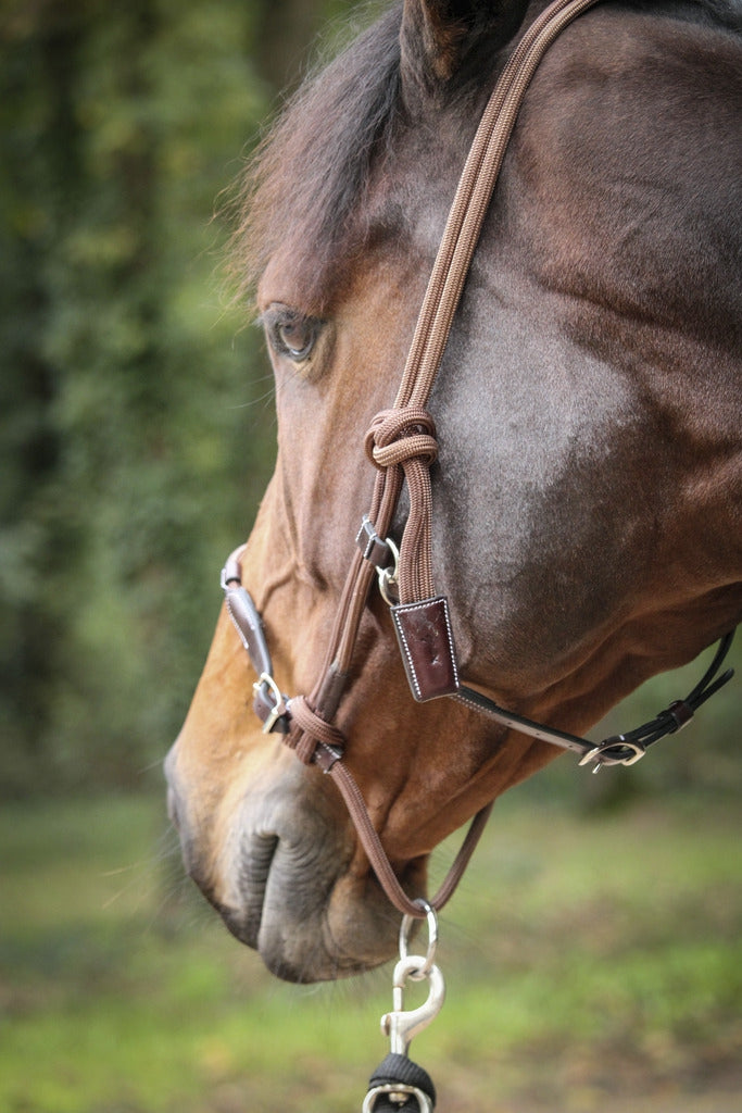 Pénélope Rope halter Havana