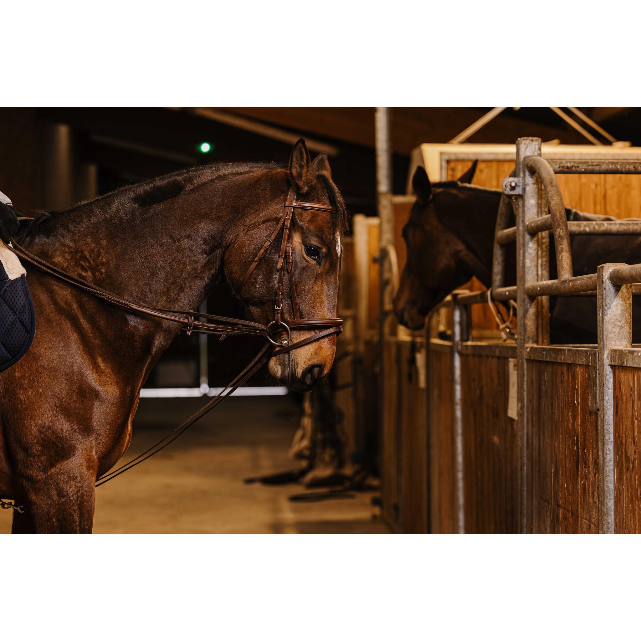 Norton Pro Strap Draw Reins Havana 305057318