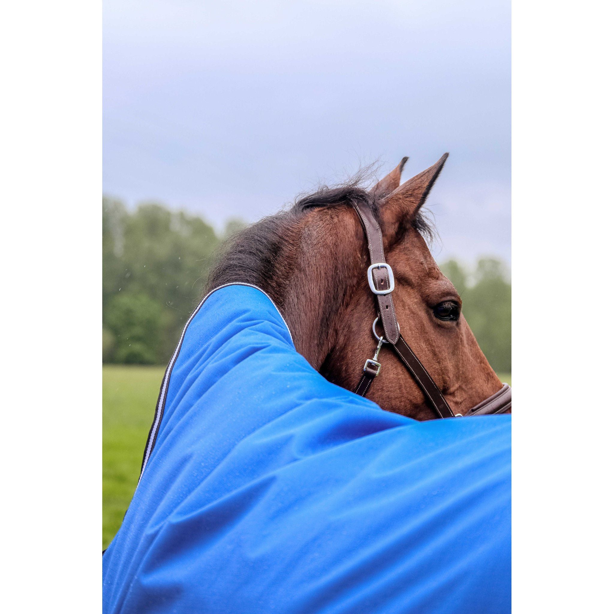 EQUITHÈME Tyrex 1200D Aisance rug - High Neck Royal blue 400966463