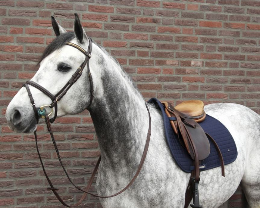 Back on Track Saddle pad No.1 - All purpose Navy blue