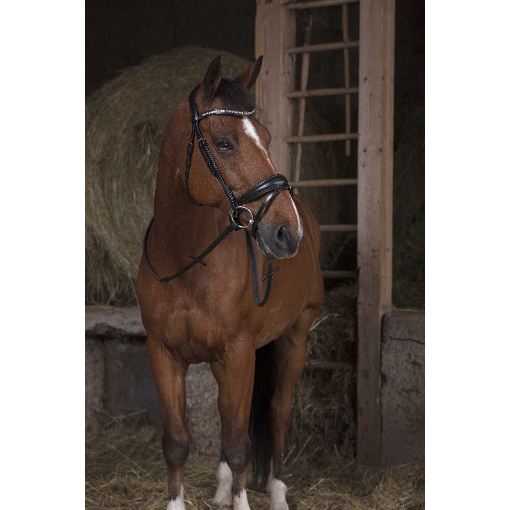 Reins Norton Pro Straps Black 305636302