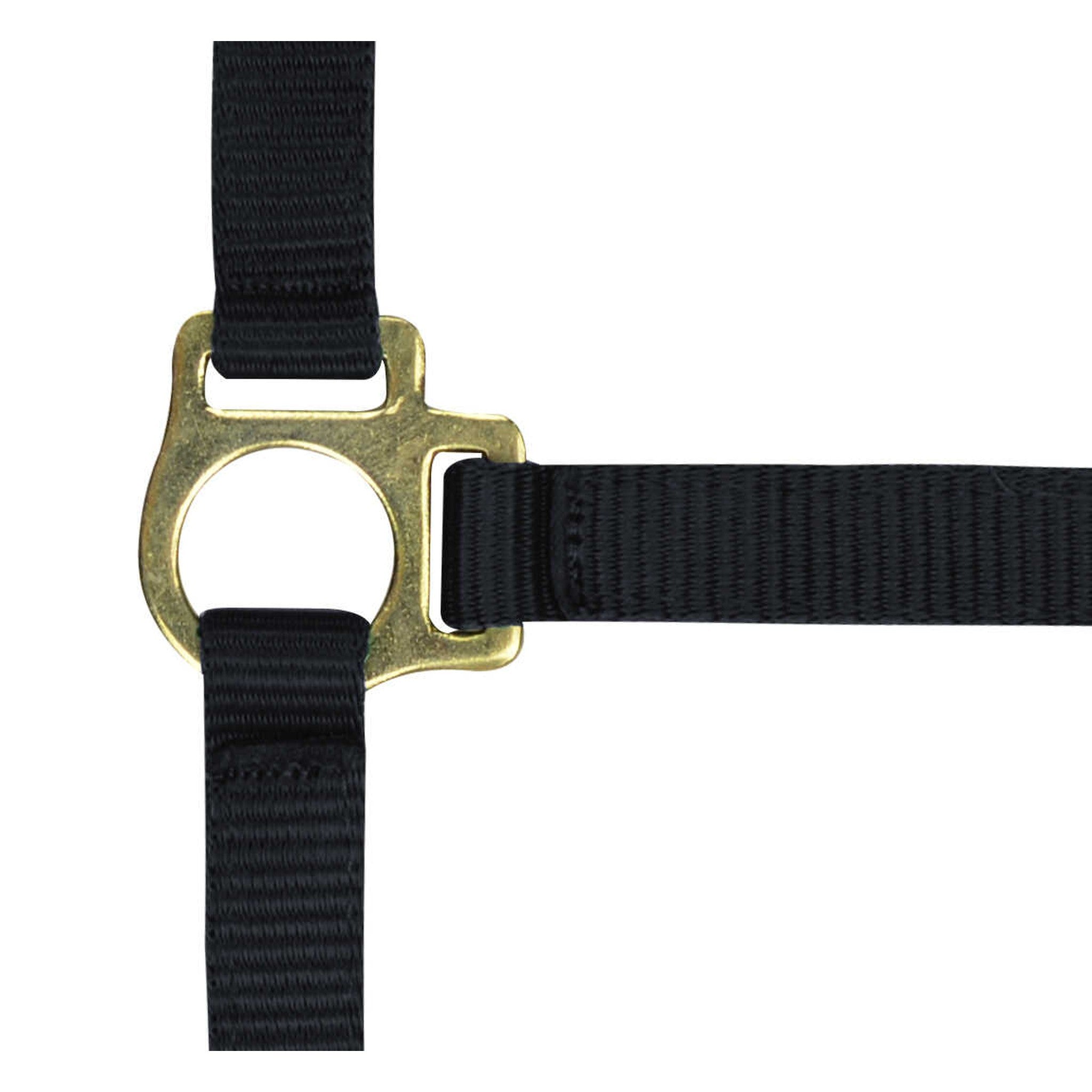 Norton Nylon halter foal Black 510038002