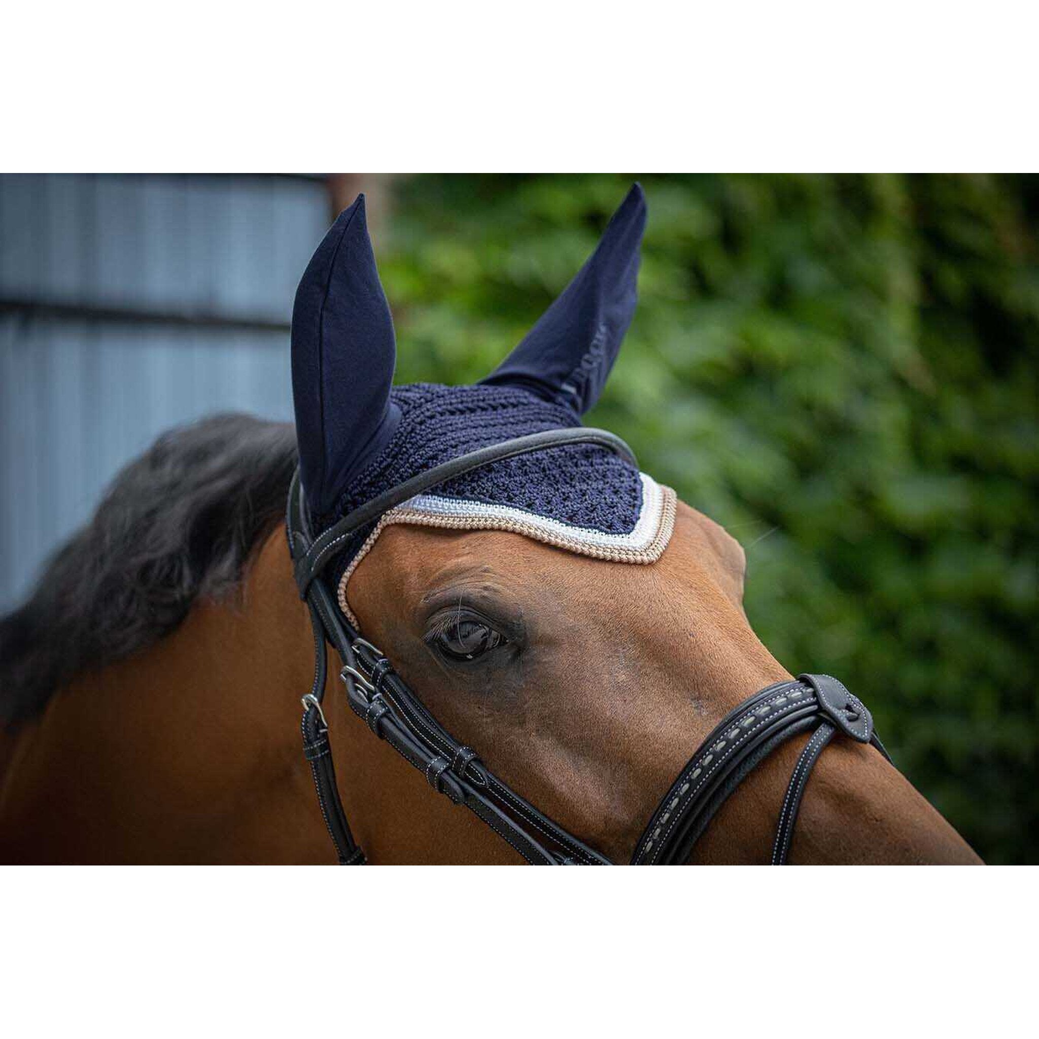 Paddock Sports Origine Fly Veil Navy blue - 306988007_ambi_7
