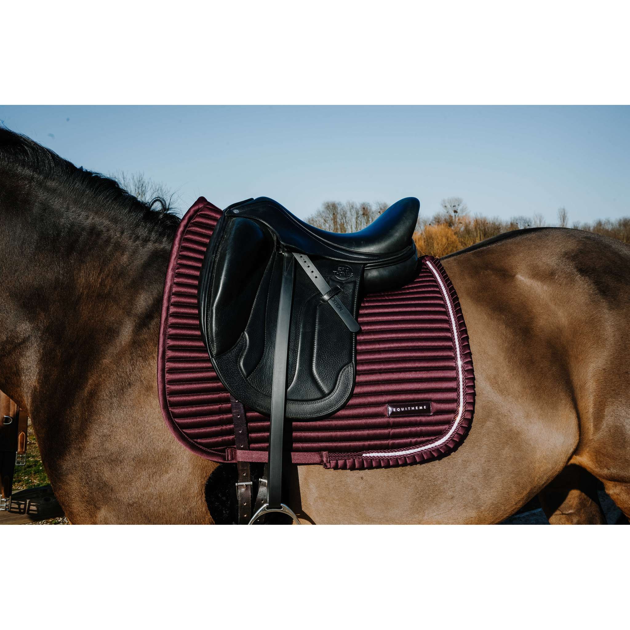 EQUITHÈME Glam Dressage Saddle Pad Burgundy - 204025033_ambi_1