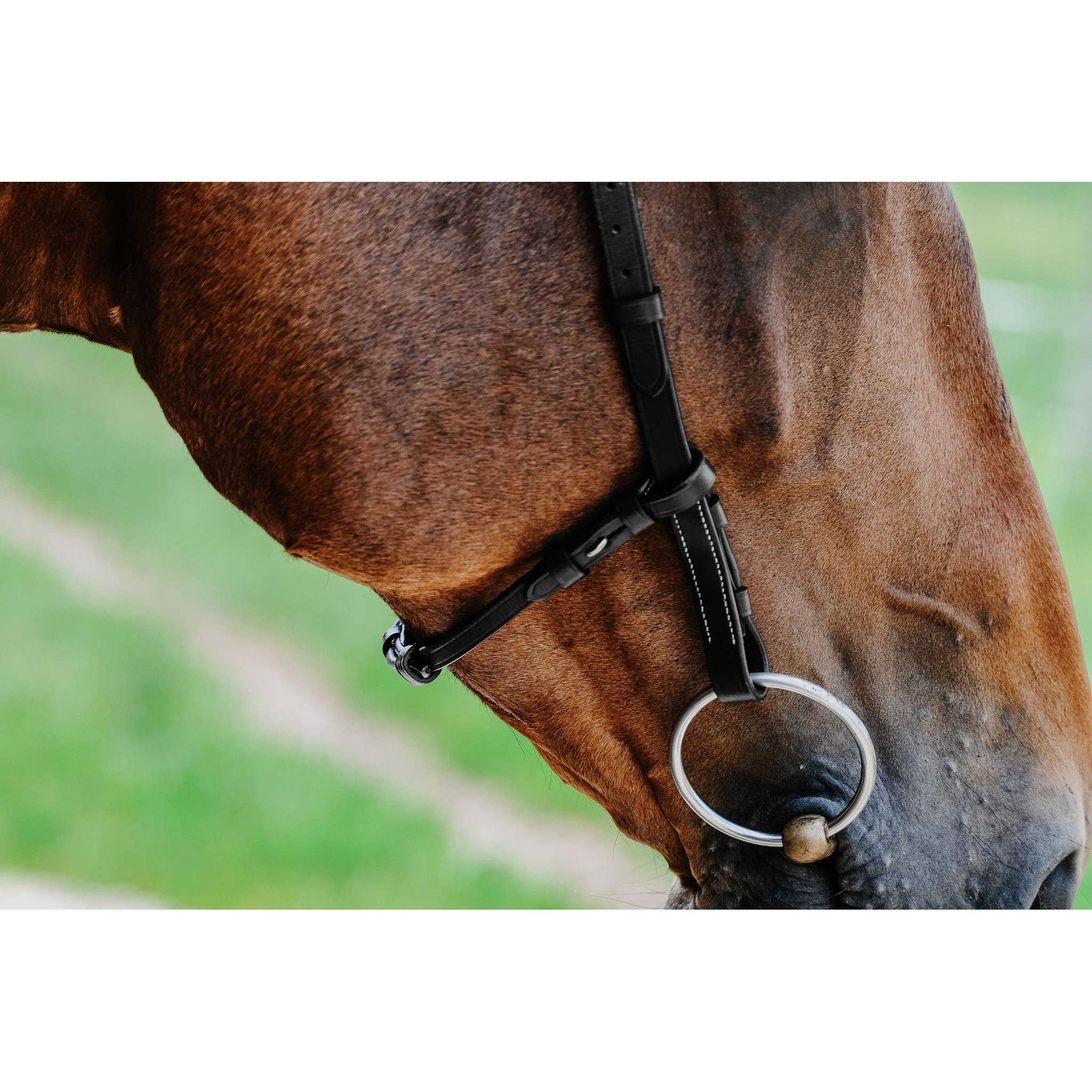 Norton Freedom Bridle Black 301804302