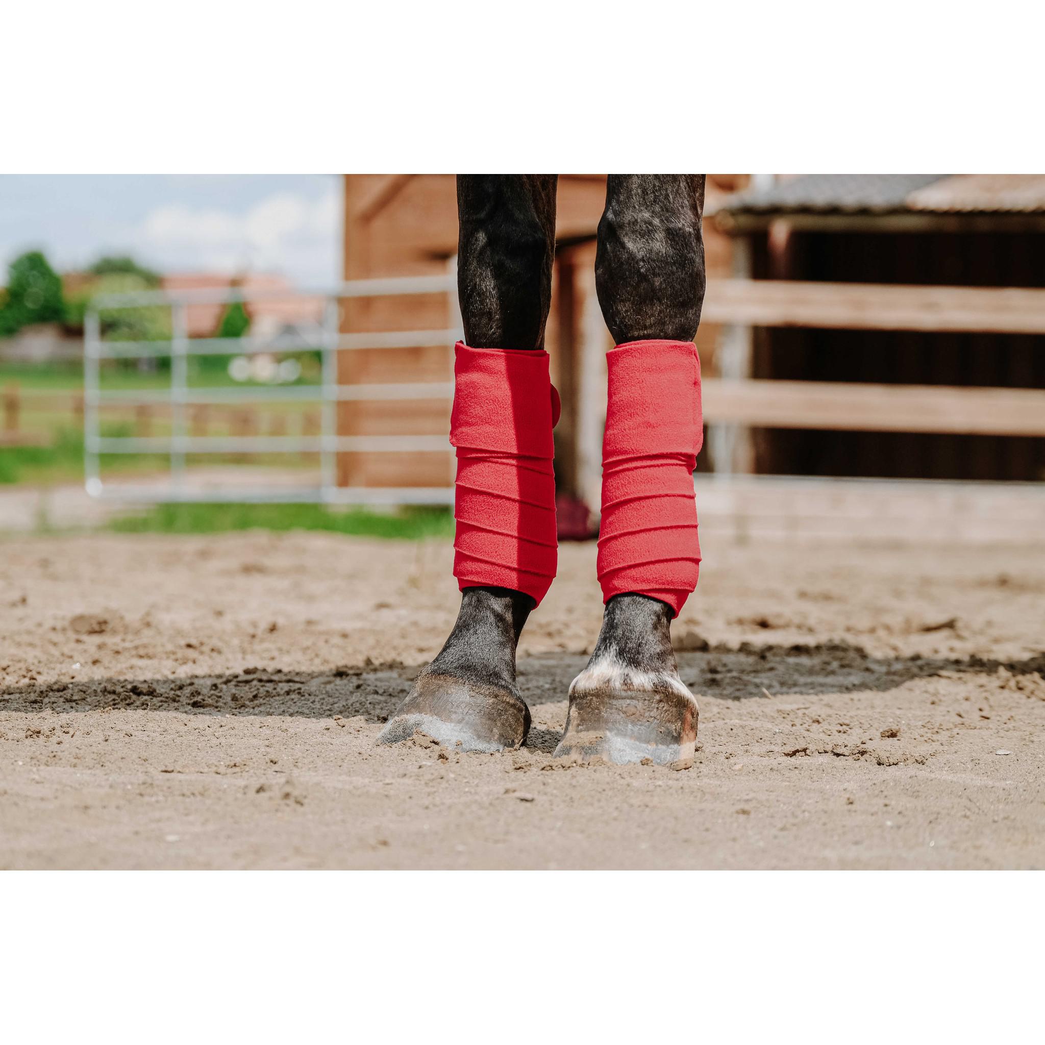 EQUITHÈME Polo Wraps Red 540068003