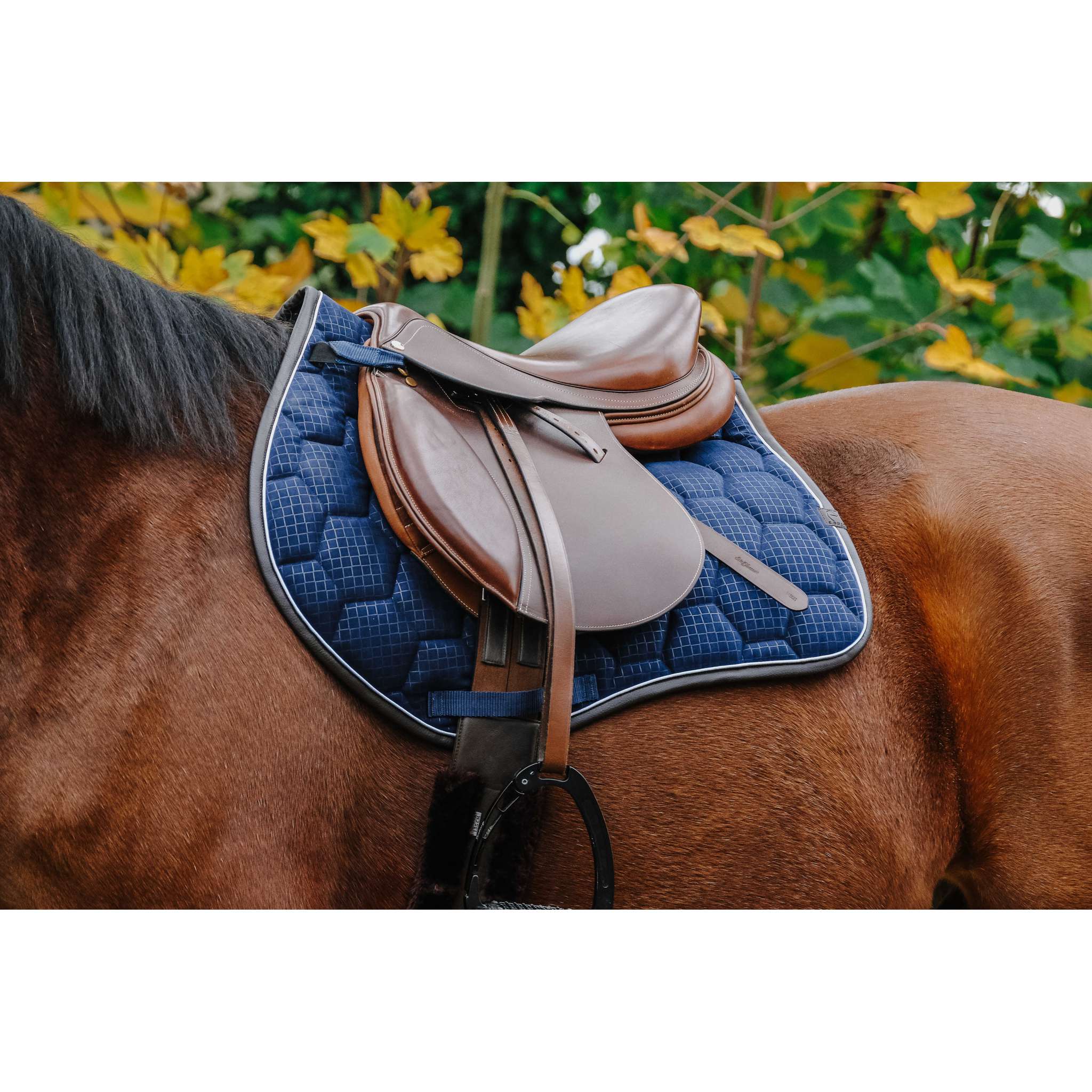 EQUITHÈME Quadri All-Purpose Saddle Pad Navy blue - 204779007_ambi_1