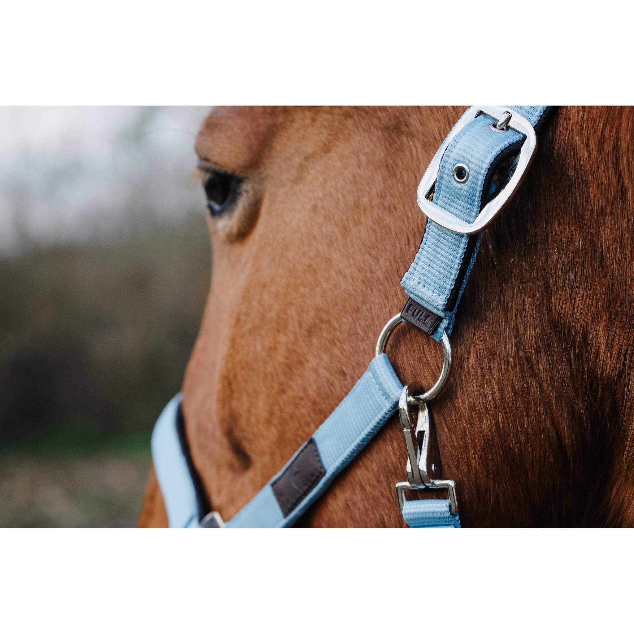 EQUITHÈME Spring Halter Turquoise 510257017