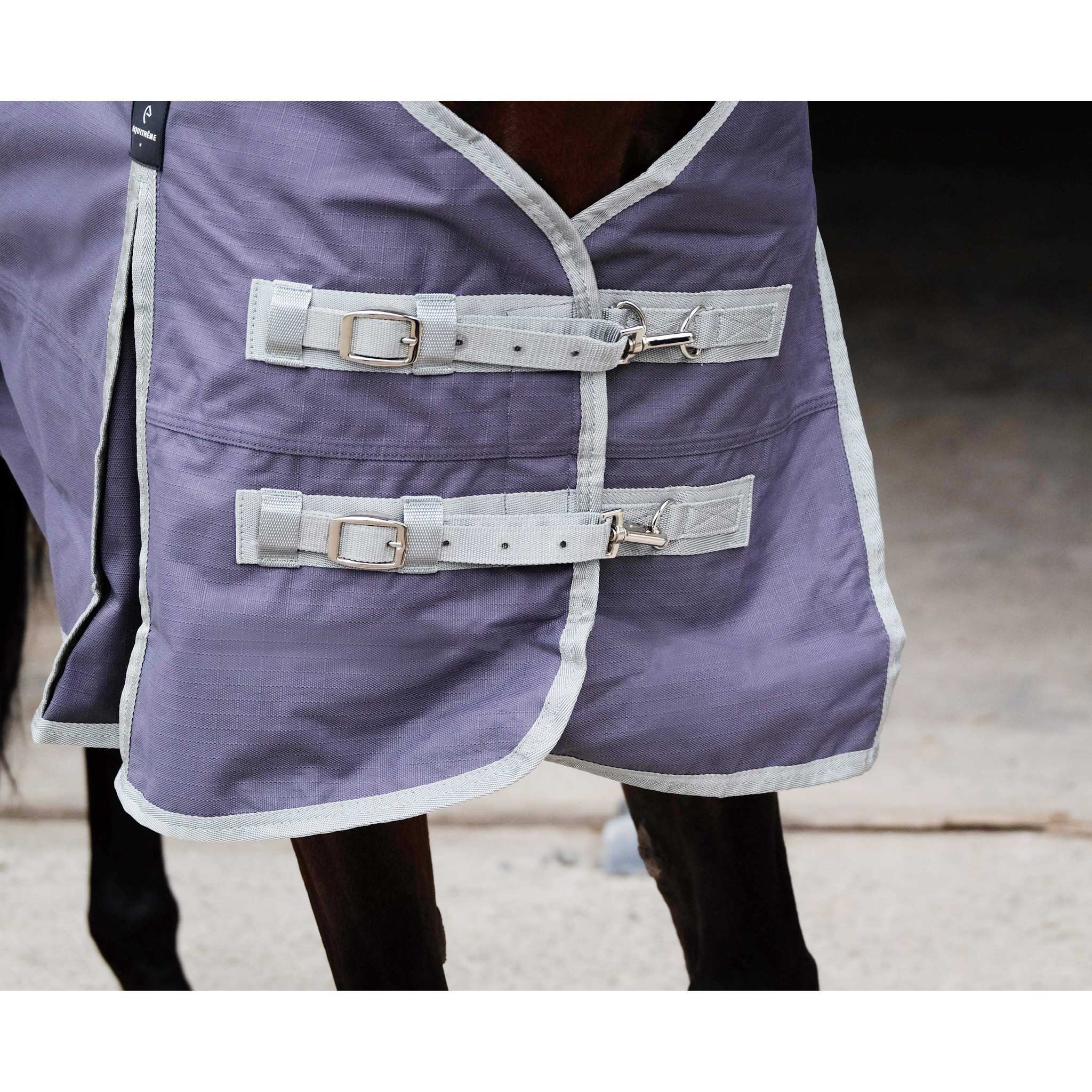 EQUITHÈME Tyrex 1200D Recycled turnout Rug - Standard Taupe 400757063