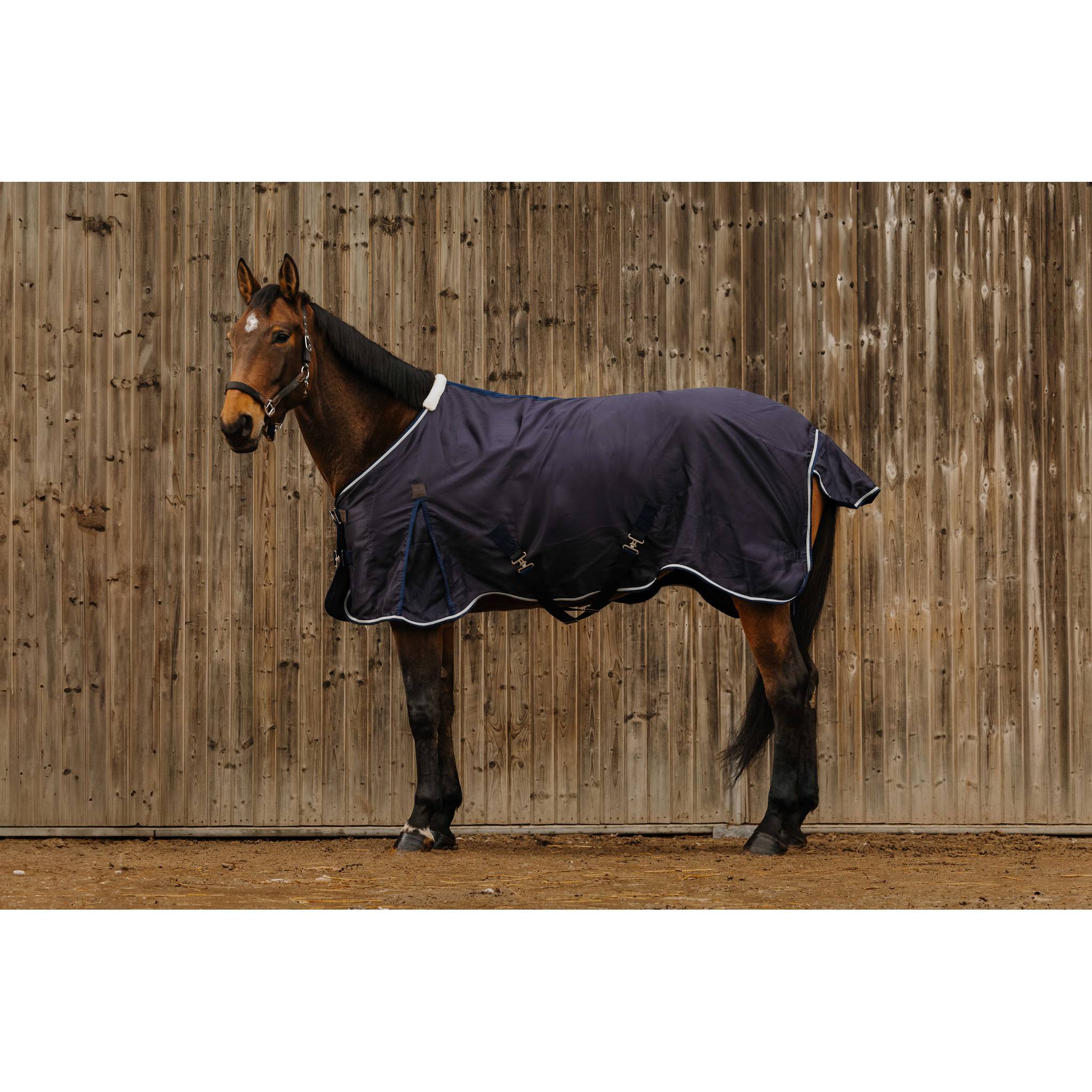 EQUITHÈME Vague Sheet Navy blue 400348063