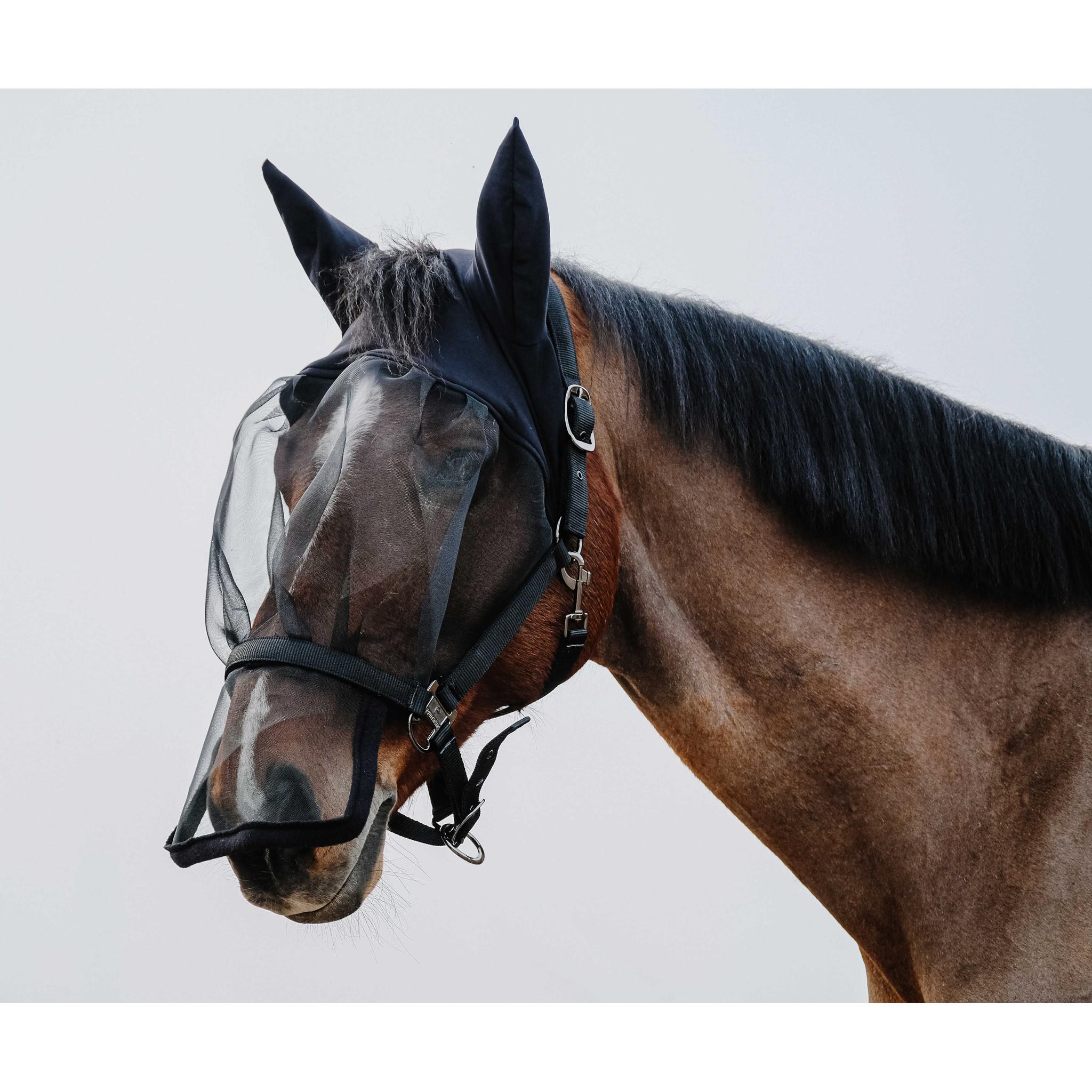 EQUITHÈME Halter + fly mask anti-UV protection Black 510061003
