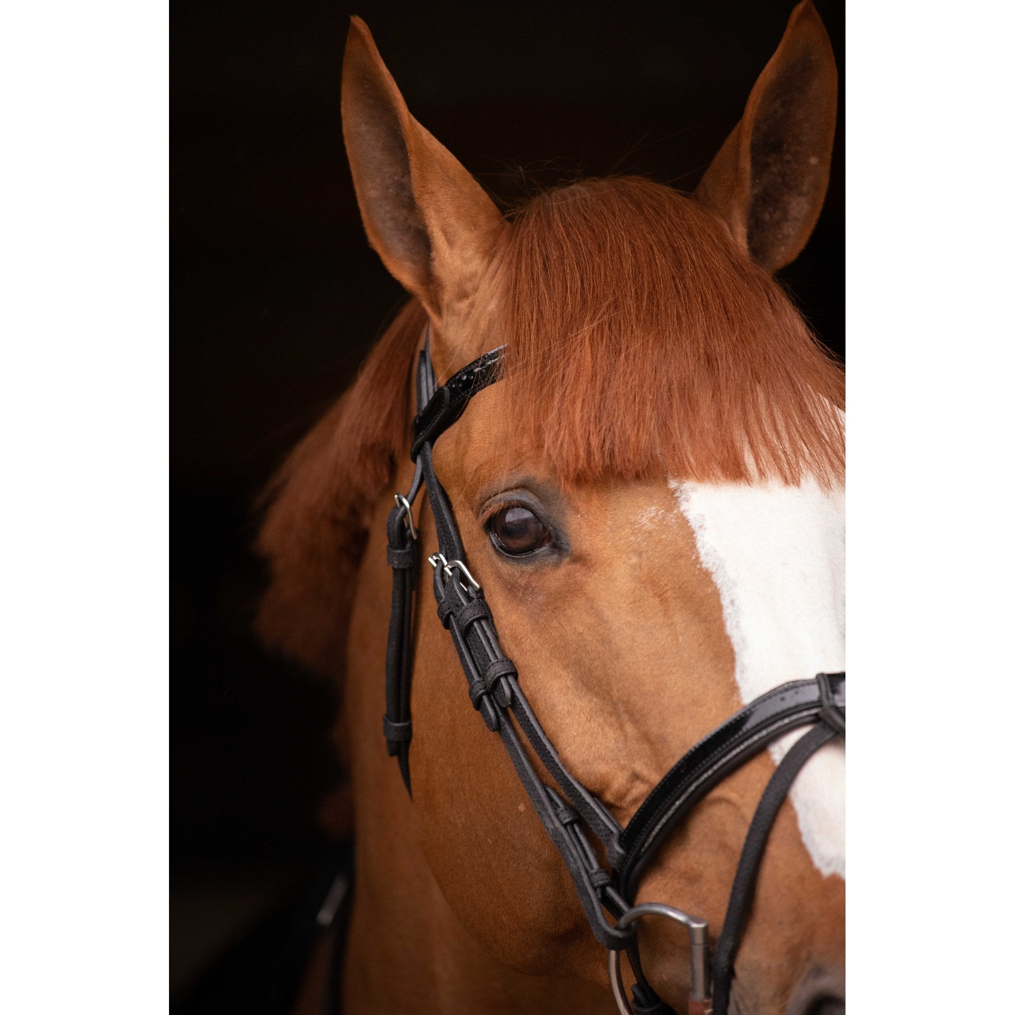 Penelope Oxford Bridle Black - 301608302_ambi_3