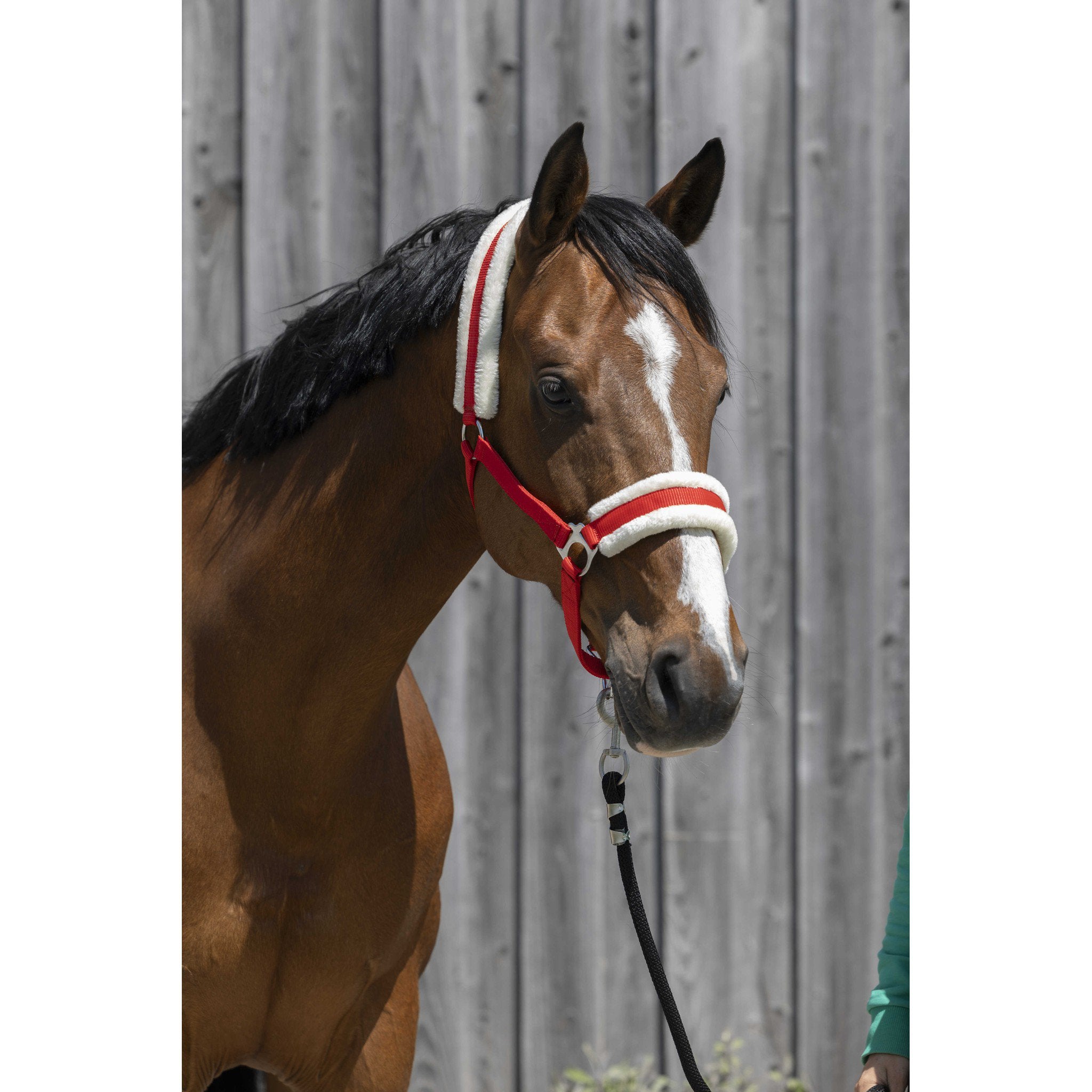 Riding World Synthetic Sheepskin Halter Red 510242303