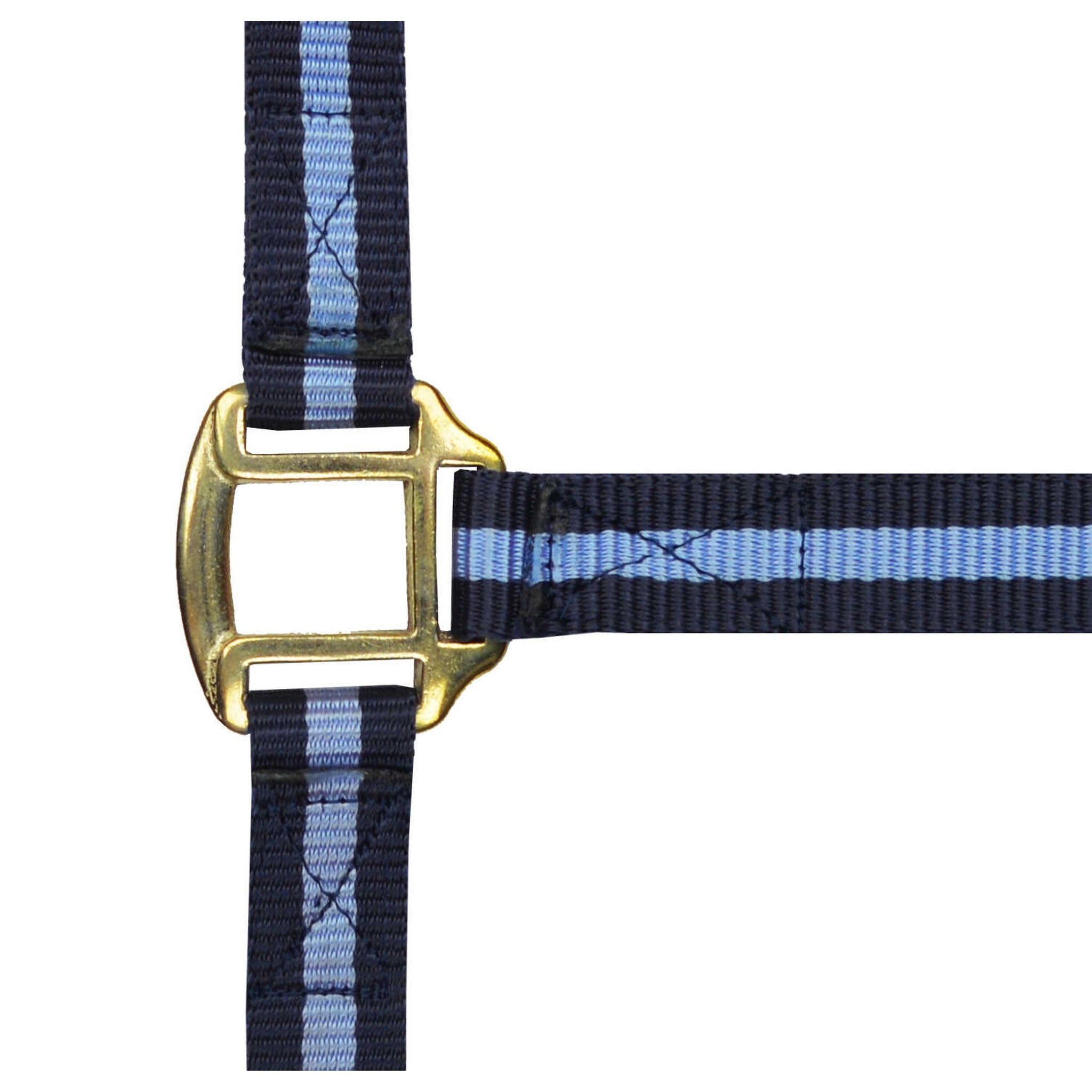 Norton Leather lined nylon headcollar Navy/light blue 510185712