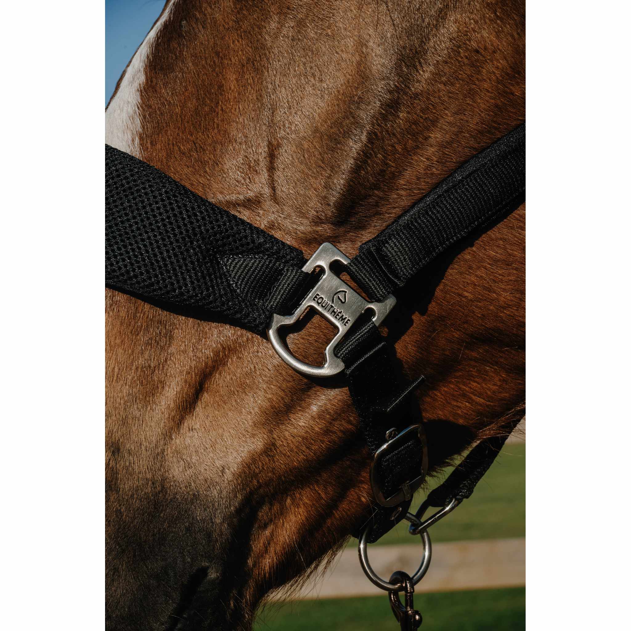 EQUITHÈME BREEZE Halter Black - 510294302_ambi_2