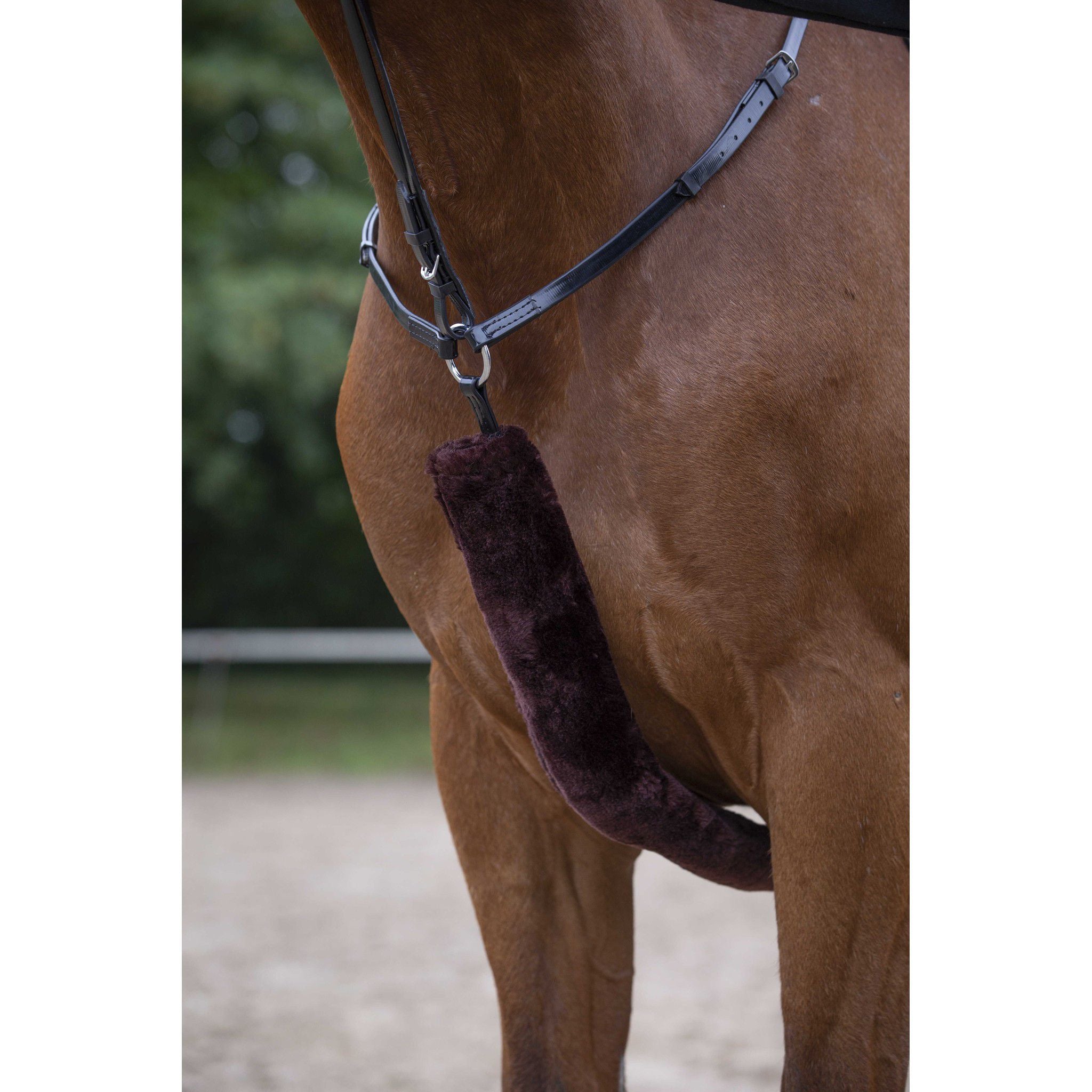EQUITHÈME Teddy hunting breastplate sleeve Brown 207503304