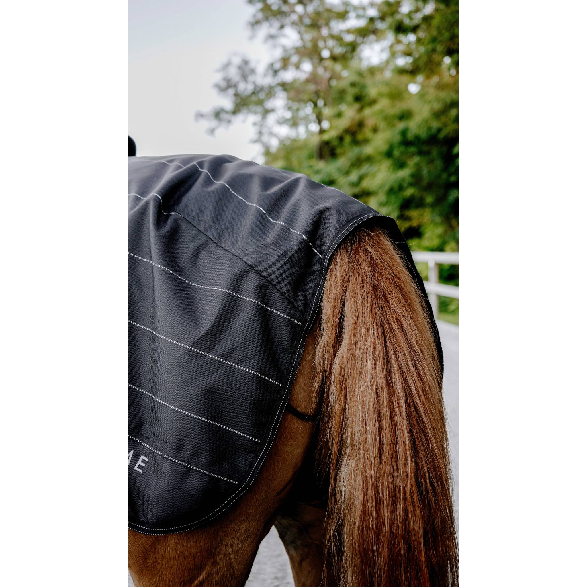 EQUITHÈME Tyrex 600D Lumin Exercise Sheet Black - 400594140_ambi_3