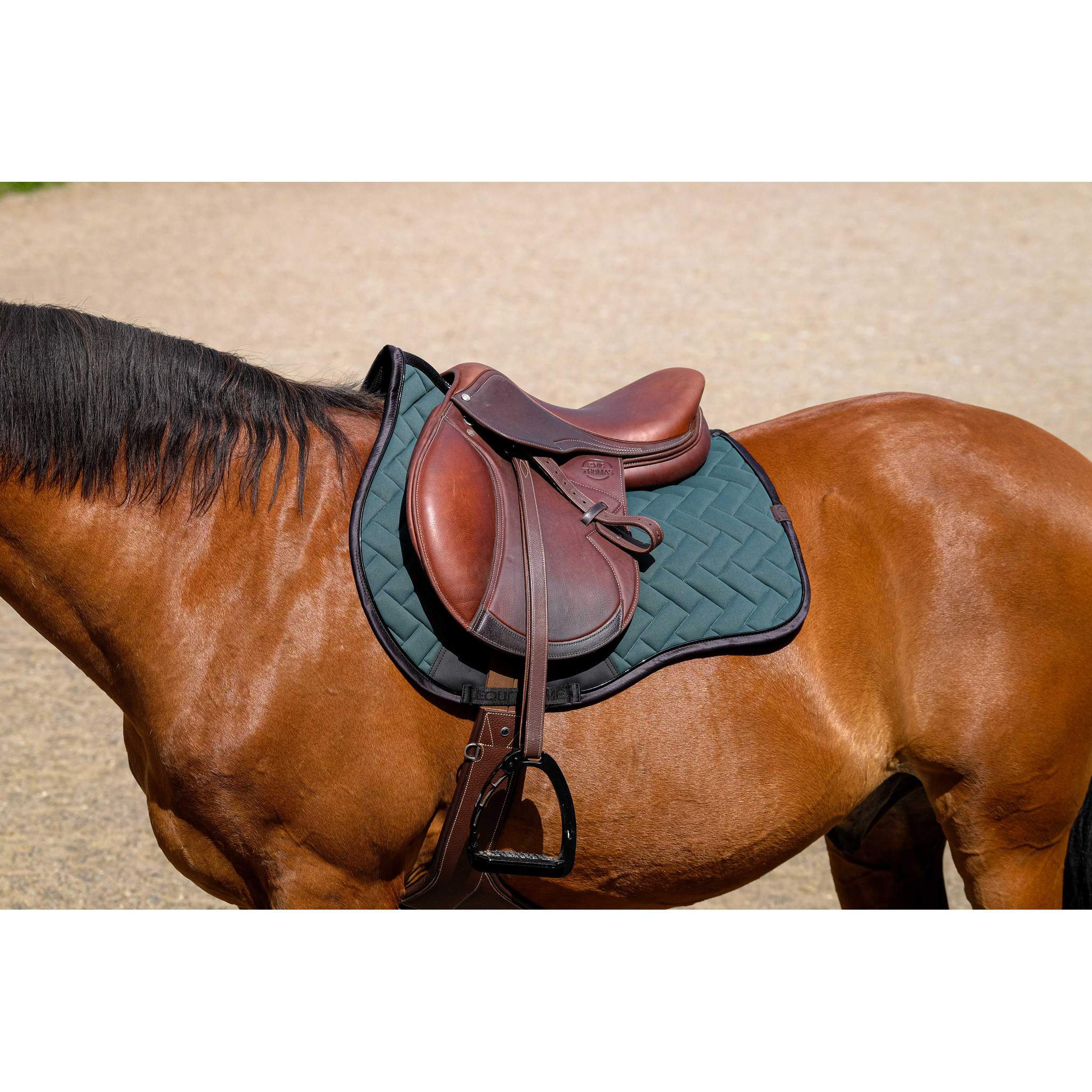 EQUITHÈME Impulsion Saddle Pad - All purpose Green 204006009