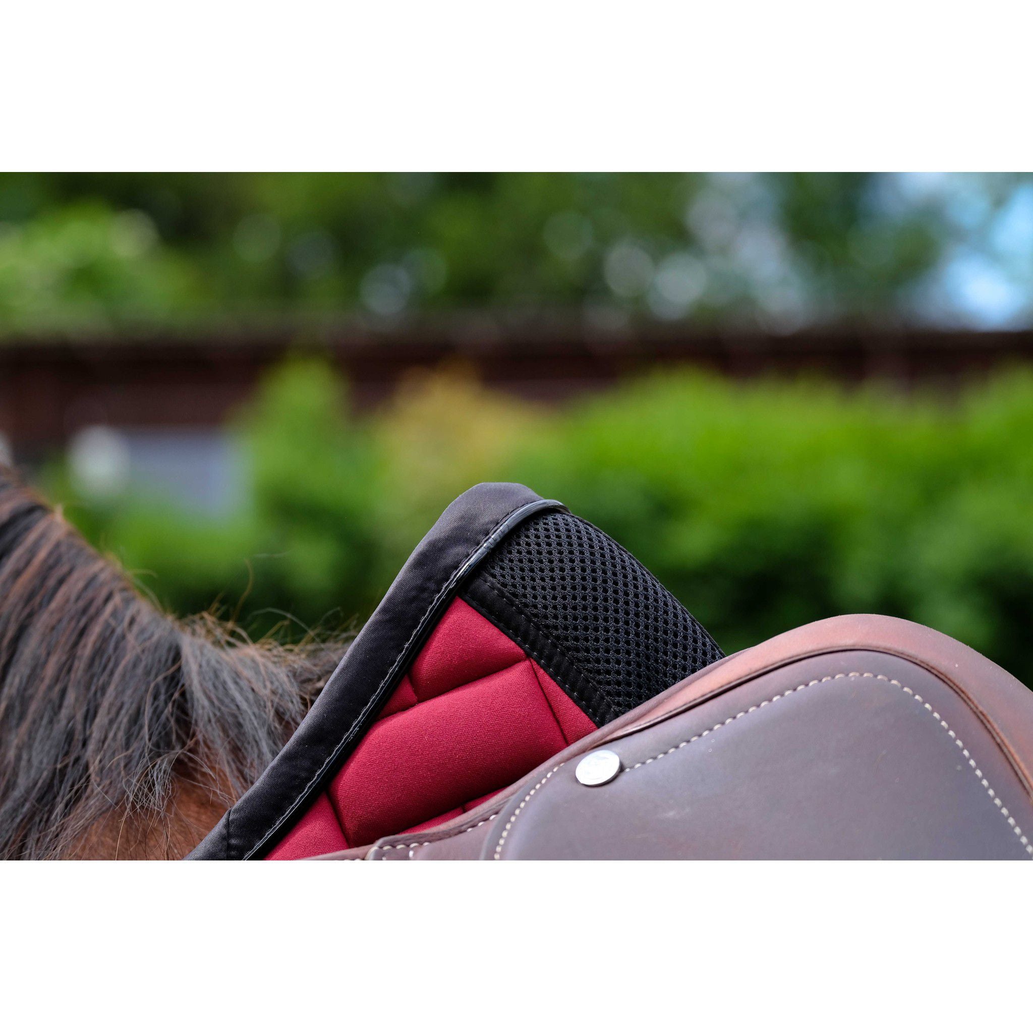 EQUITHÈME Impulsion Saddle Pad - All purpose Burgundy 204006033