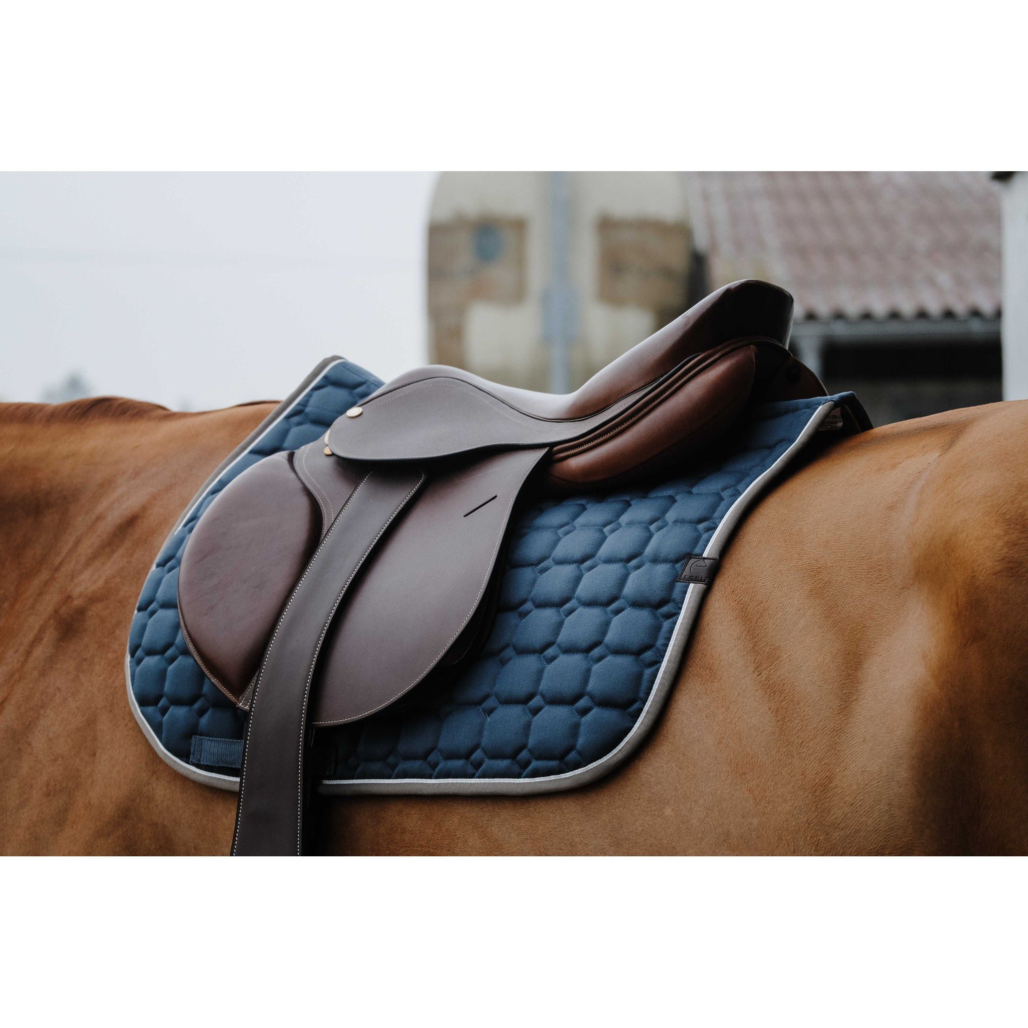 EQUITHÈME Orion saddle pad - All purpose Peacock blue 204774040