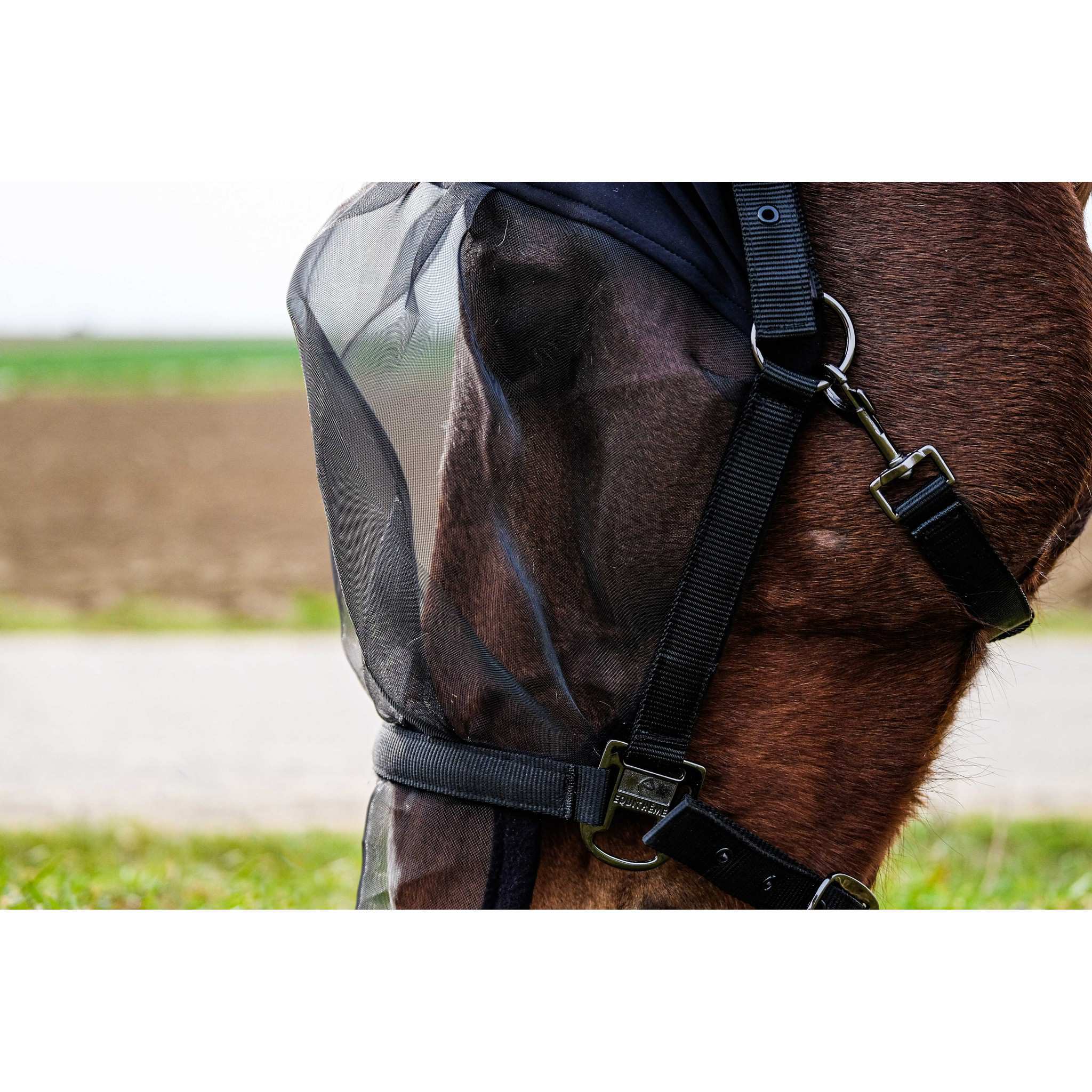 EQUITHÈME Halter + fly mask anti-UV protection Black 510061003