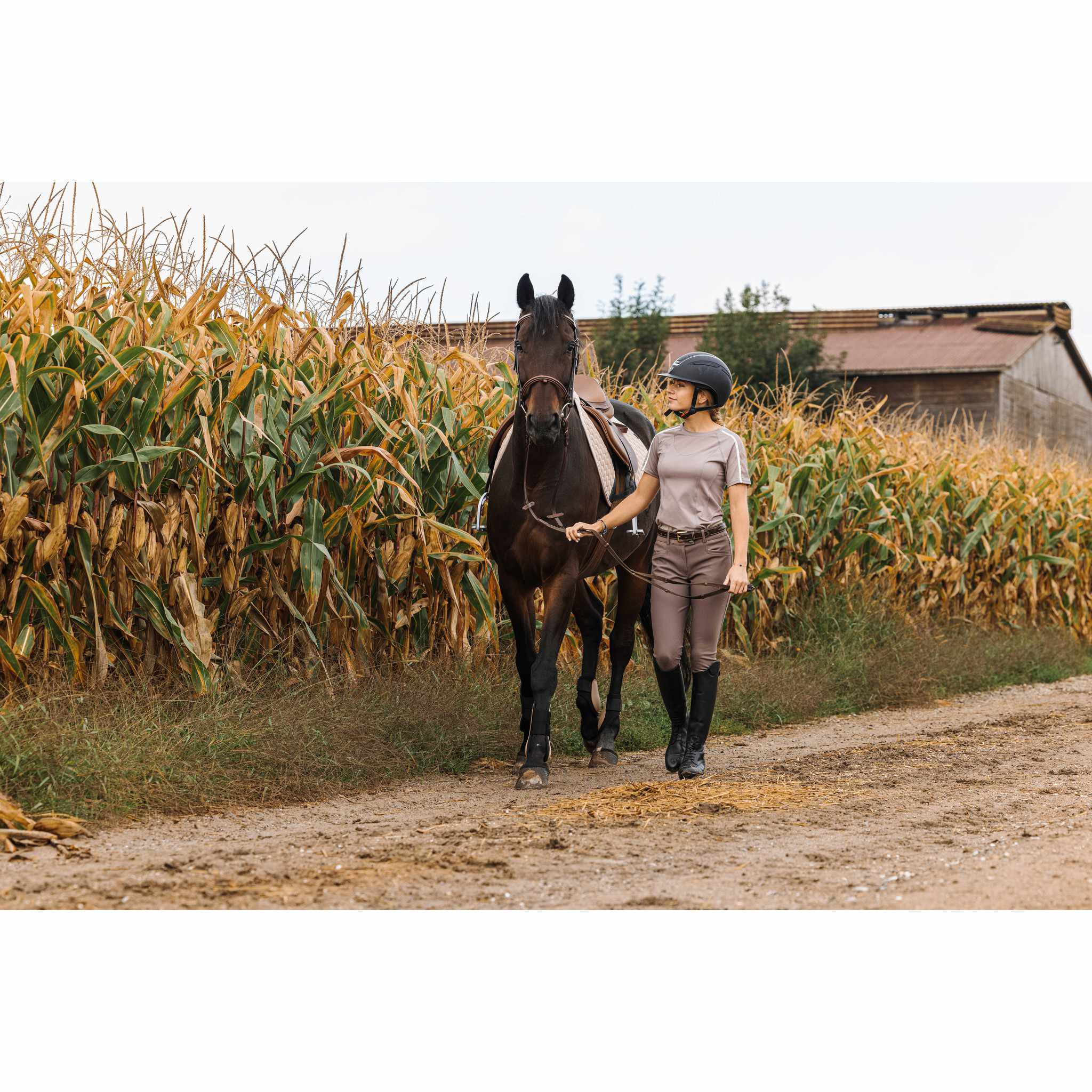 EQUITHÈME Originals Jessie Breeches - Ladies Taupe 979824436