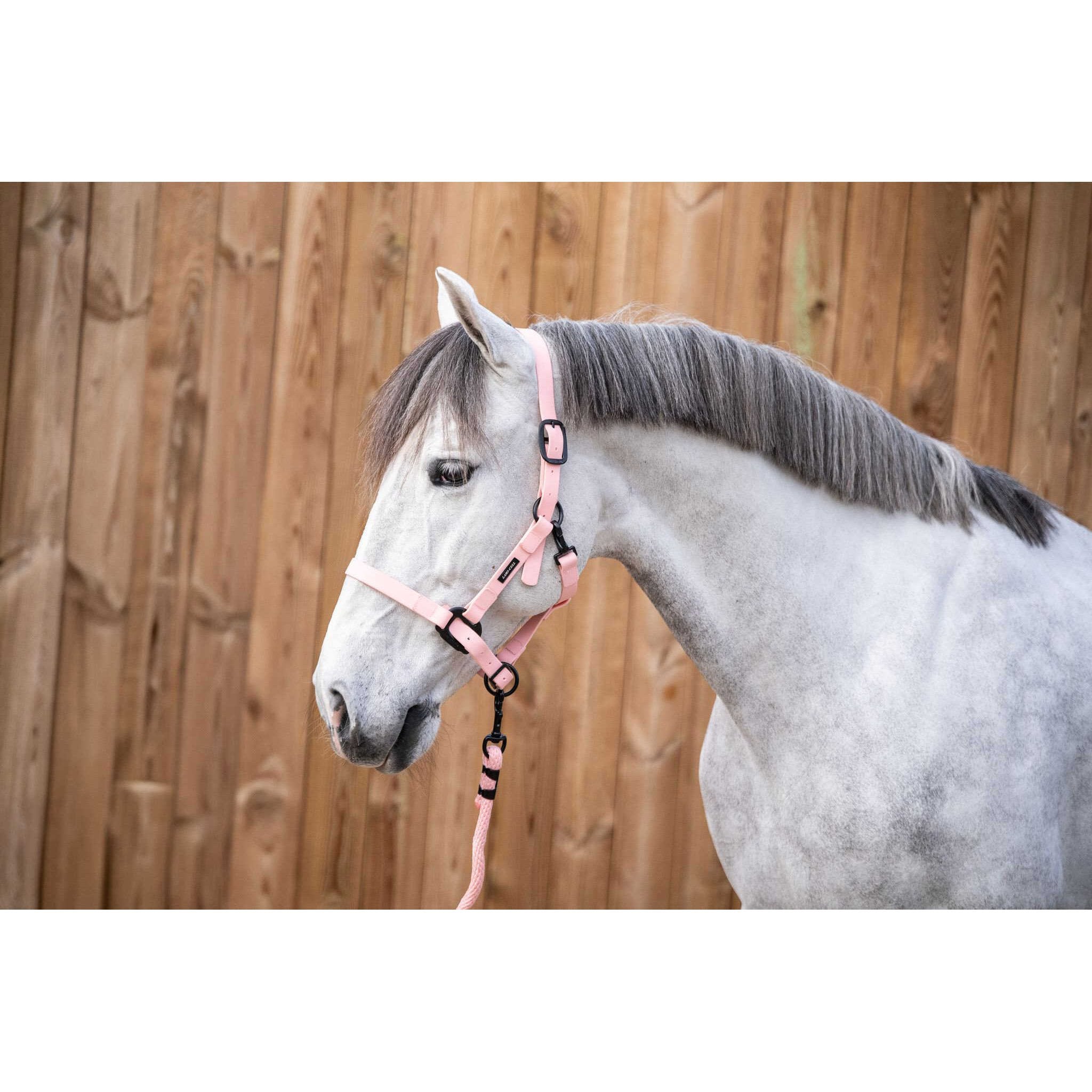 LAMI CELL LC Vibes Halter Pink - 555031313_ambi_1