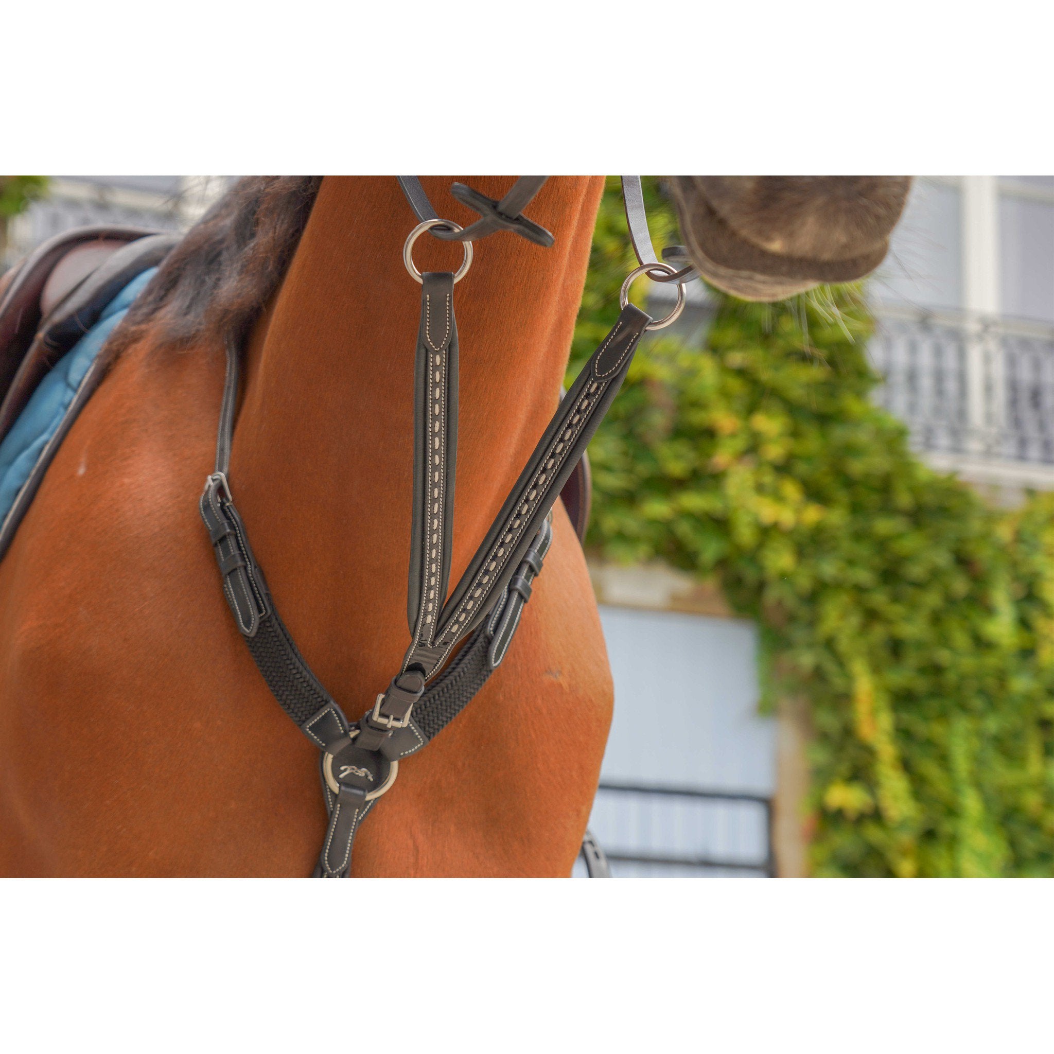 Pénélope Point Sellier Martingale Attachment Black 306153002