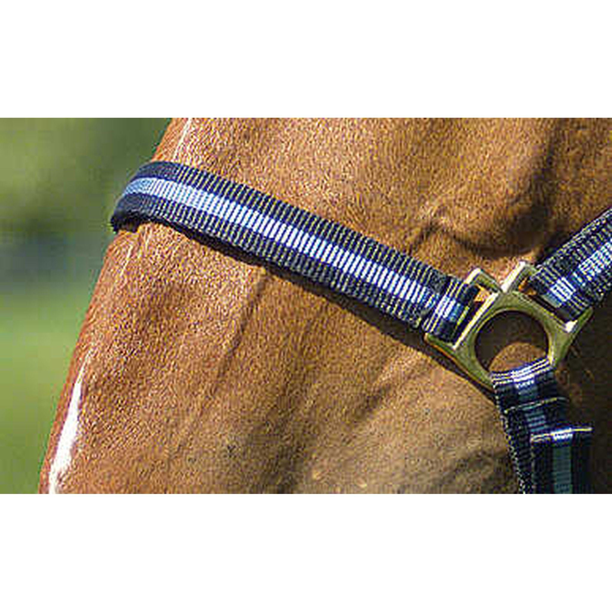 Norton Leather lined nylon headcollar Navy/light blue 510190712